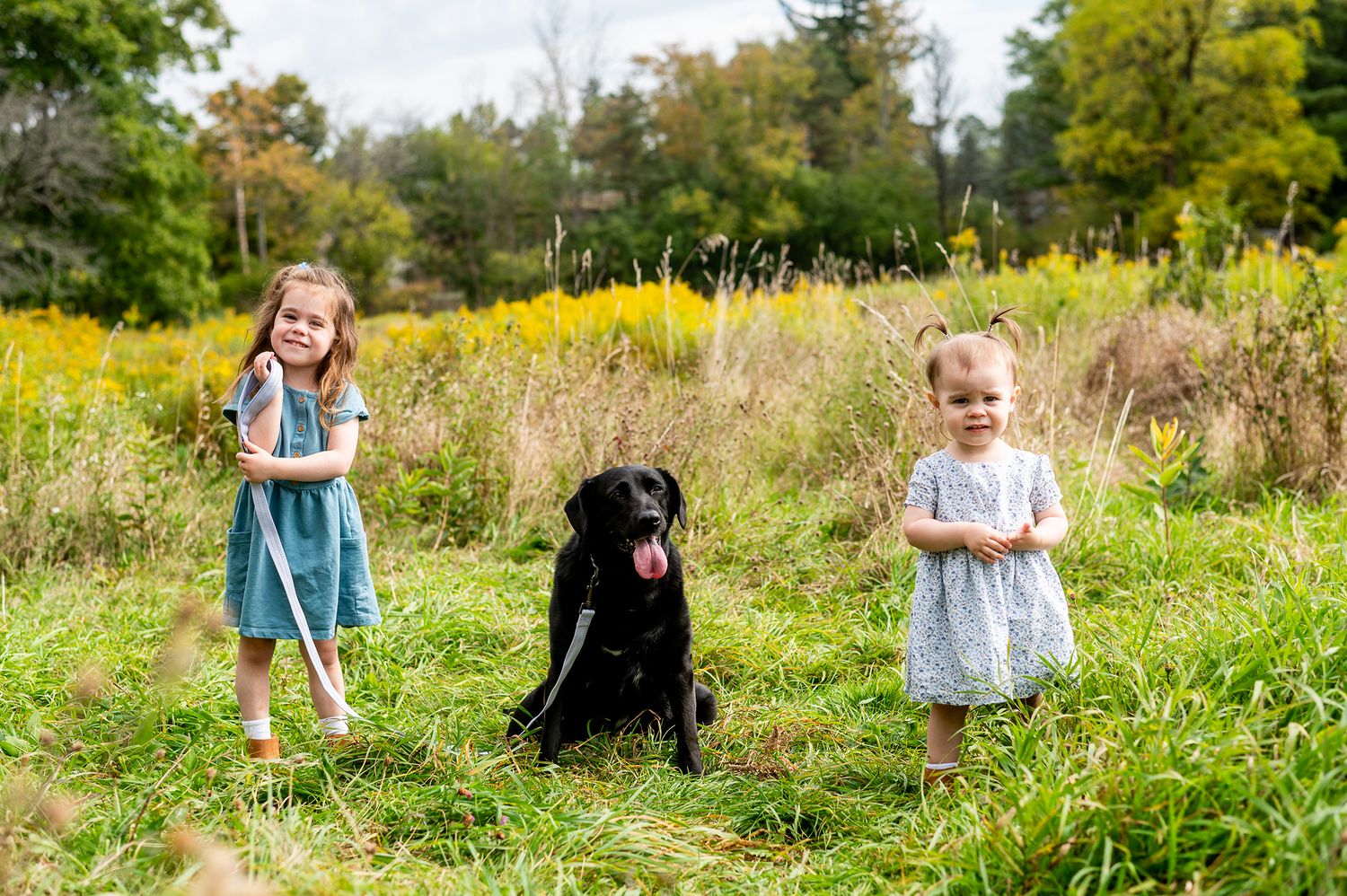 Two young girls in blue dresses stand with a black Labrador in a lush green meadow with yellow wildflowers.