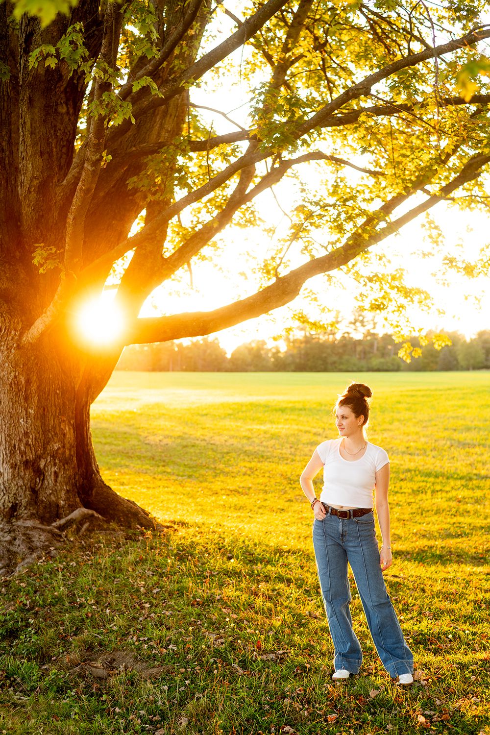 Sunset glows through tree branches in rural field on golden summer evening, casting warm light across grassy meadow.