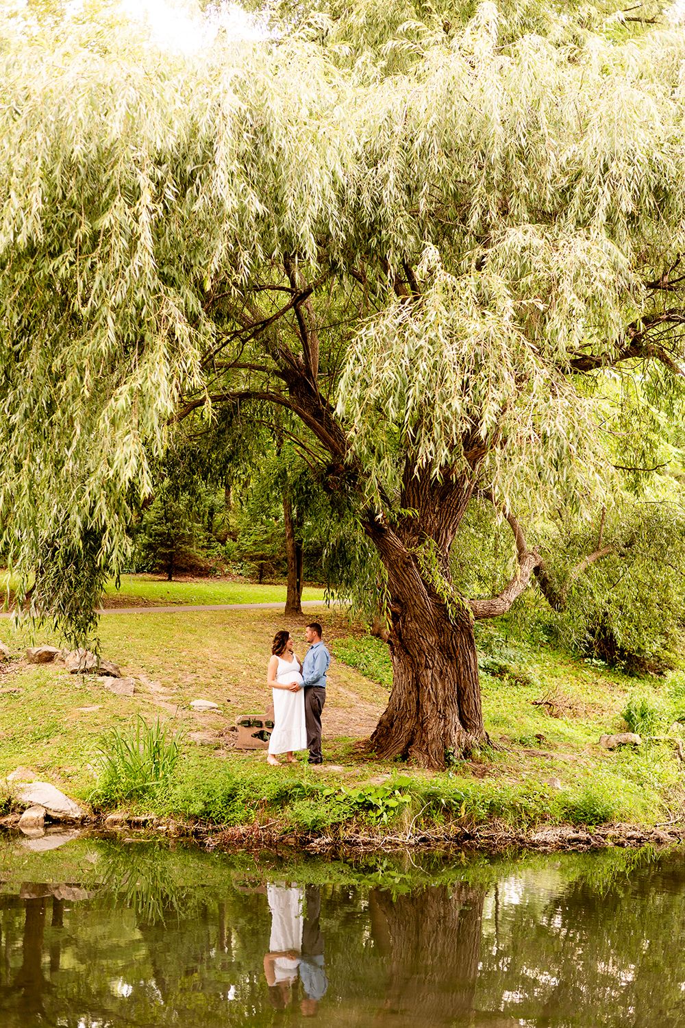 A couple embraces under a large weeping willow tree beside a reflective pond.