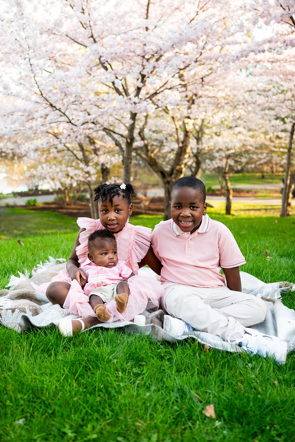 Family wearing pink and white outfits laying together on blanket under blooming cherry blossom trees.