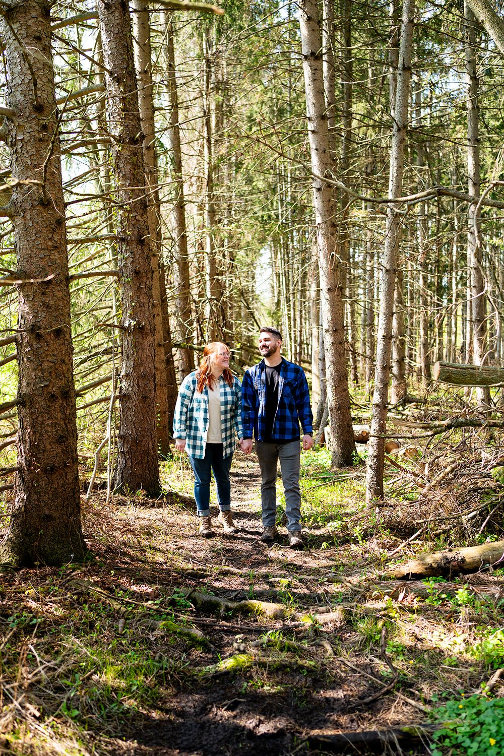 People walk along a sunlit forest trail between tall pine trees on a peaceful hiking path through the wilderness.