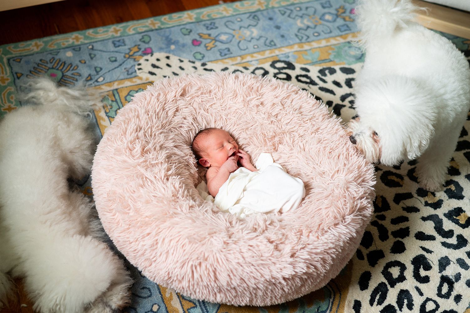 Newborn sleeping peacefully on a plush pink round cushion with leopard print fabric nearby.