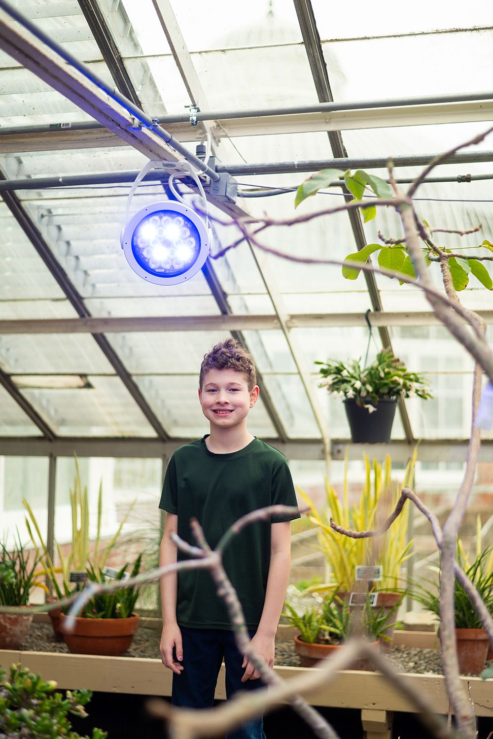 Interior of a greenhouse with plants and LED grow lights mounted on the ceiling.