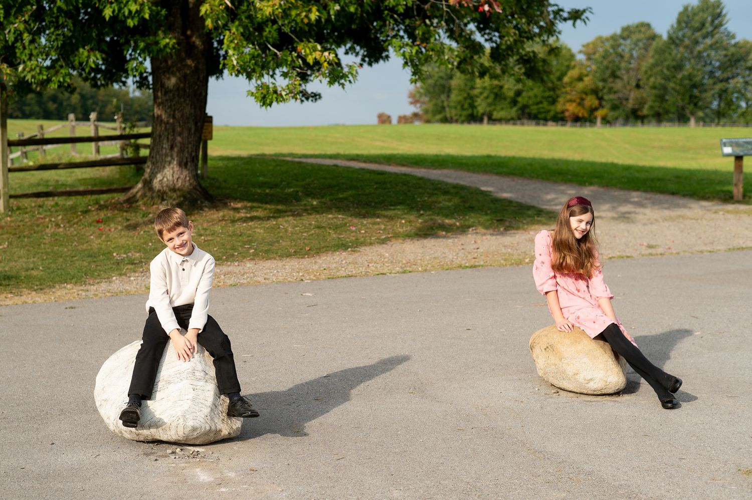Two children sitting on large rocks in a park driveway beneath a tree on a sunny day.