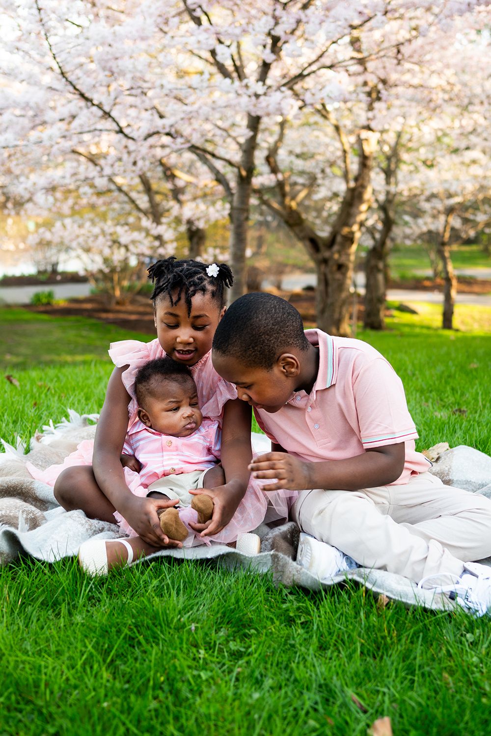 A family relaxes on a white blanket under blooming cherry blossom trees in a spring park.