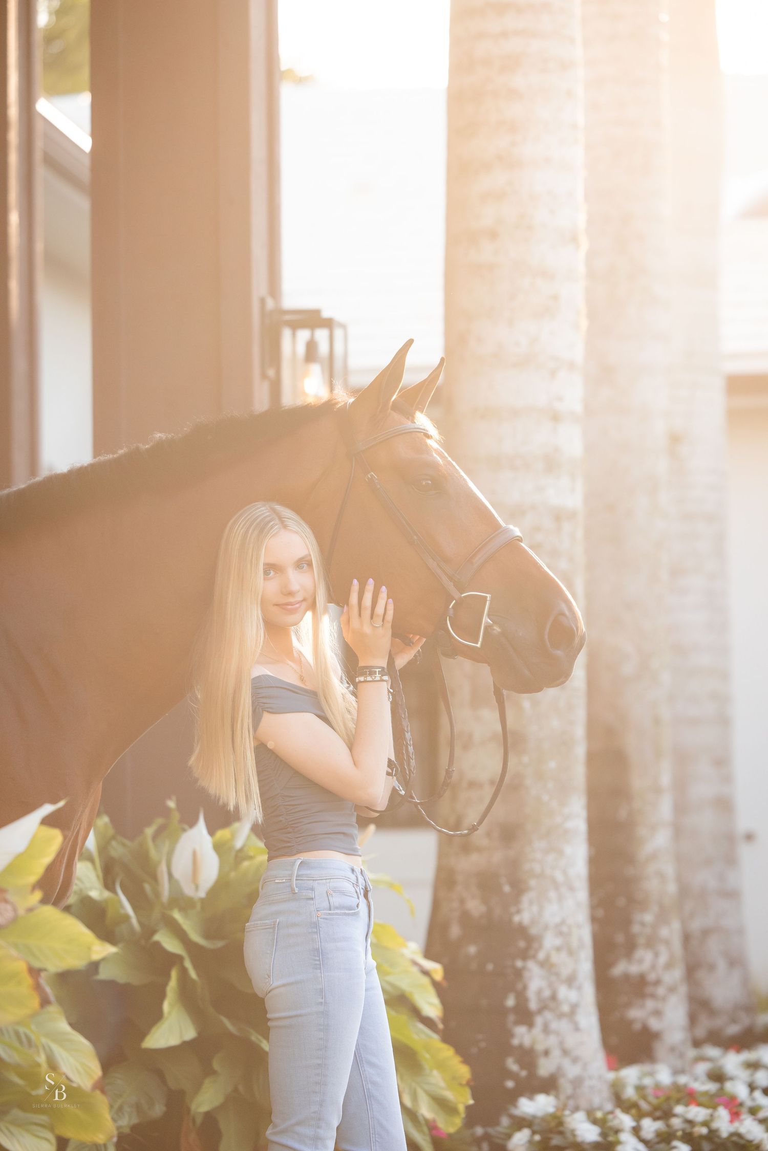 A dark horse and a person stand together in soft sunlight filtering through palm trees.