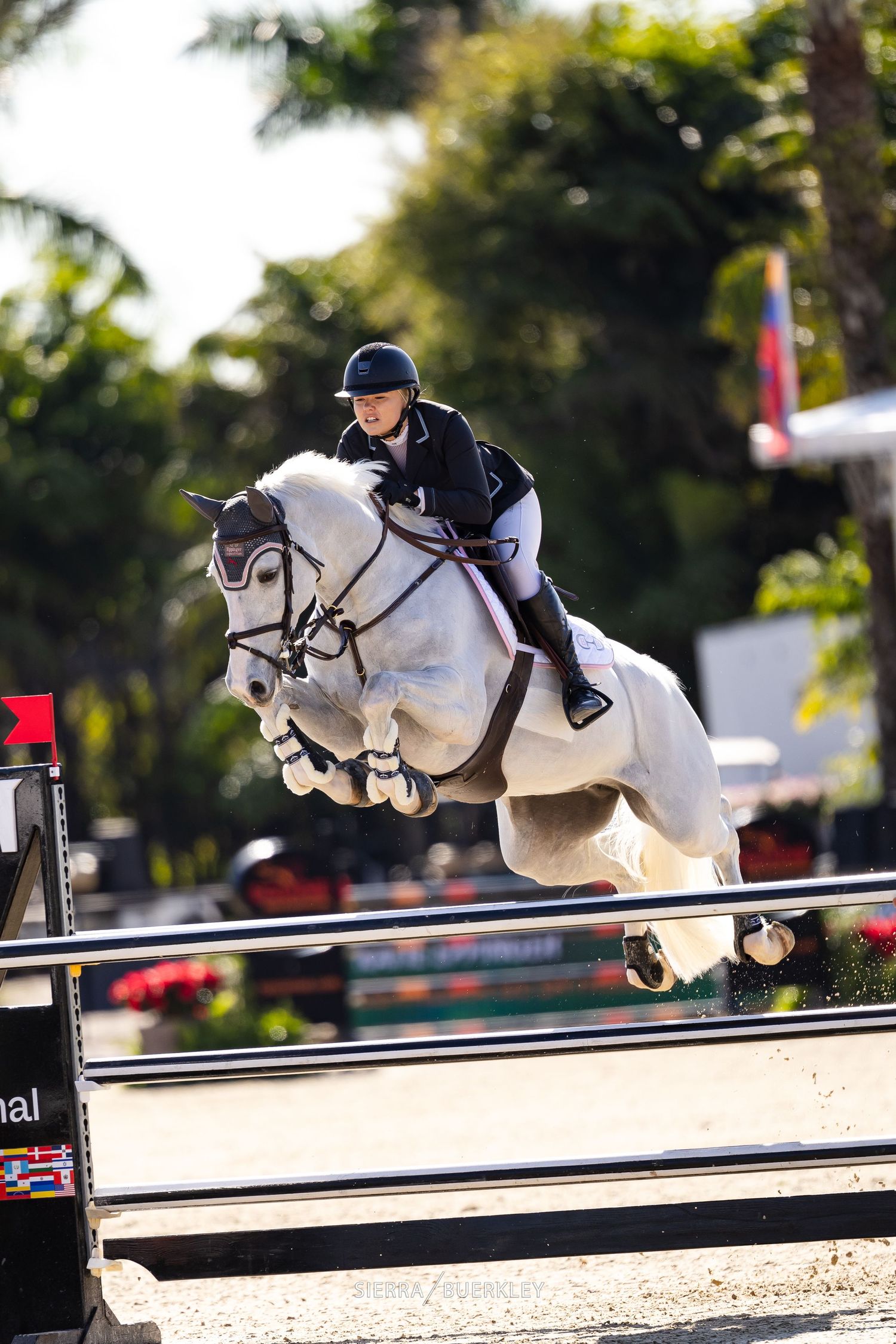 Grey horse and rider executing impressive jump over competition rails.