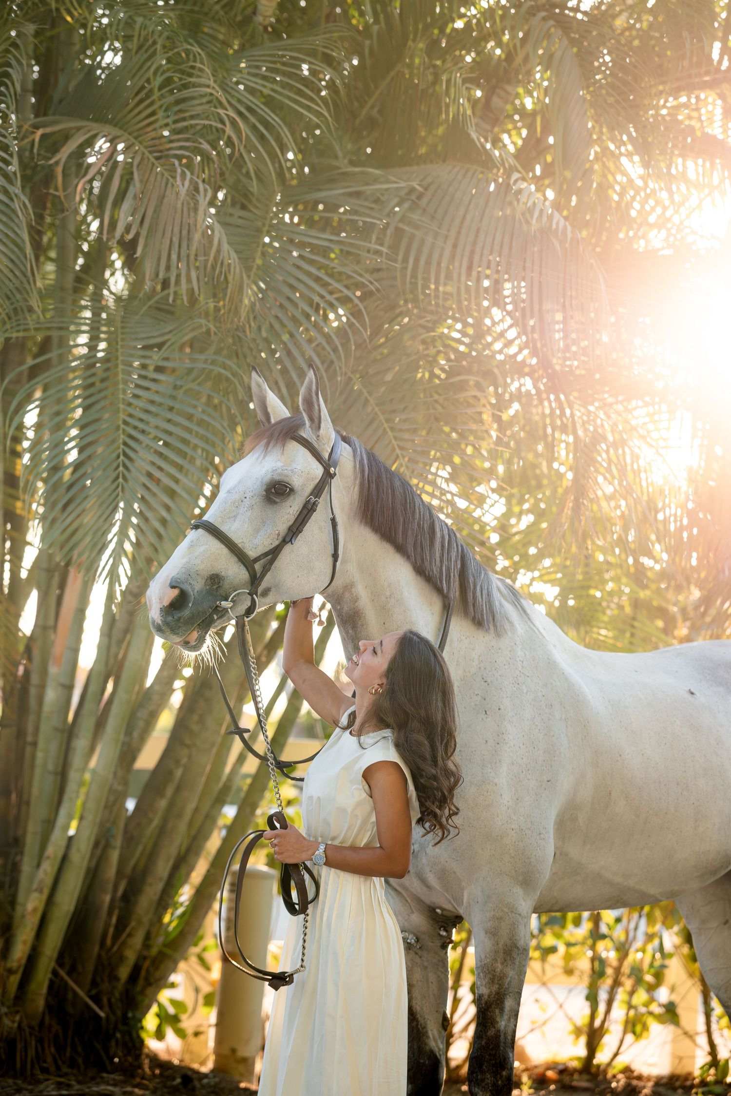 A beautiful white horse and someone in a flowing white dress stand together in a palm garden at golden sunset.