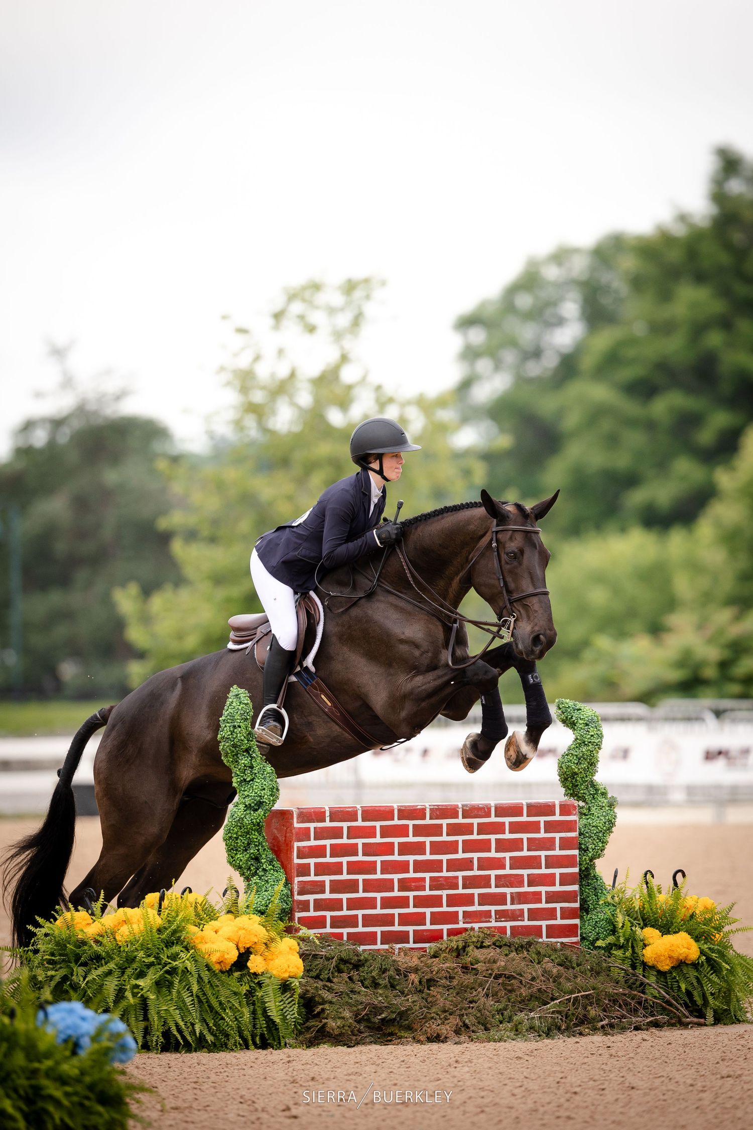 Equestrian rider in black attire guides dark brown horse jumping over decorative brick wall with yellow flowers and greenery.