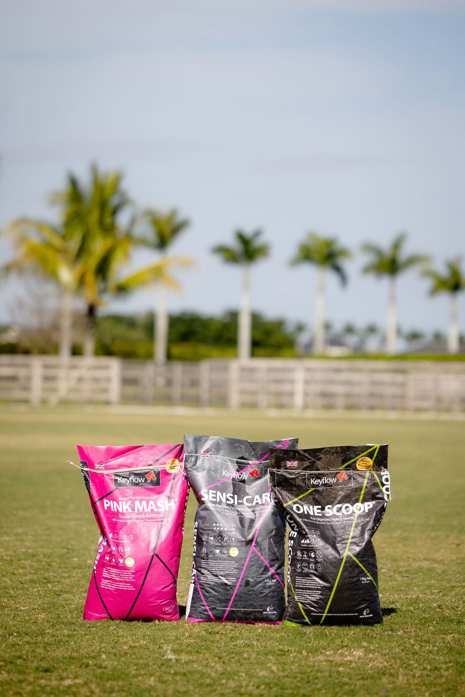 Three bags of horse feed stand on a grassy field with palm trees and a white fence in the background.