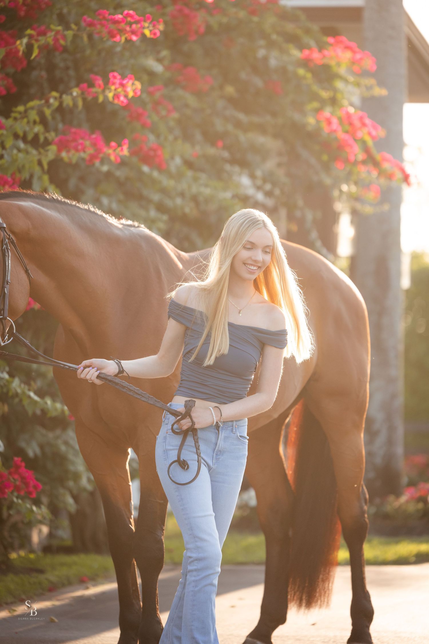 A brown horse and person standing in golden sunlight with pink flowering bushes in background.