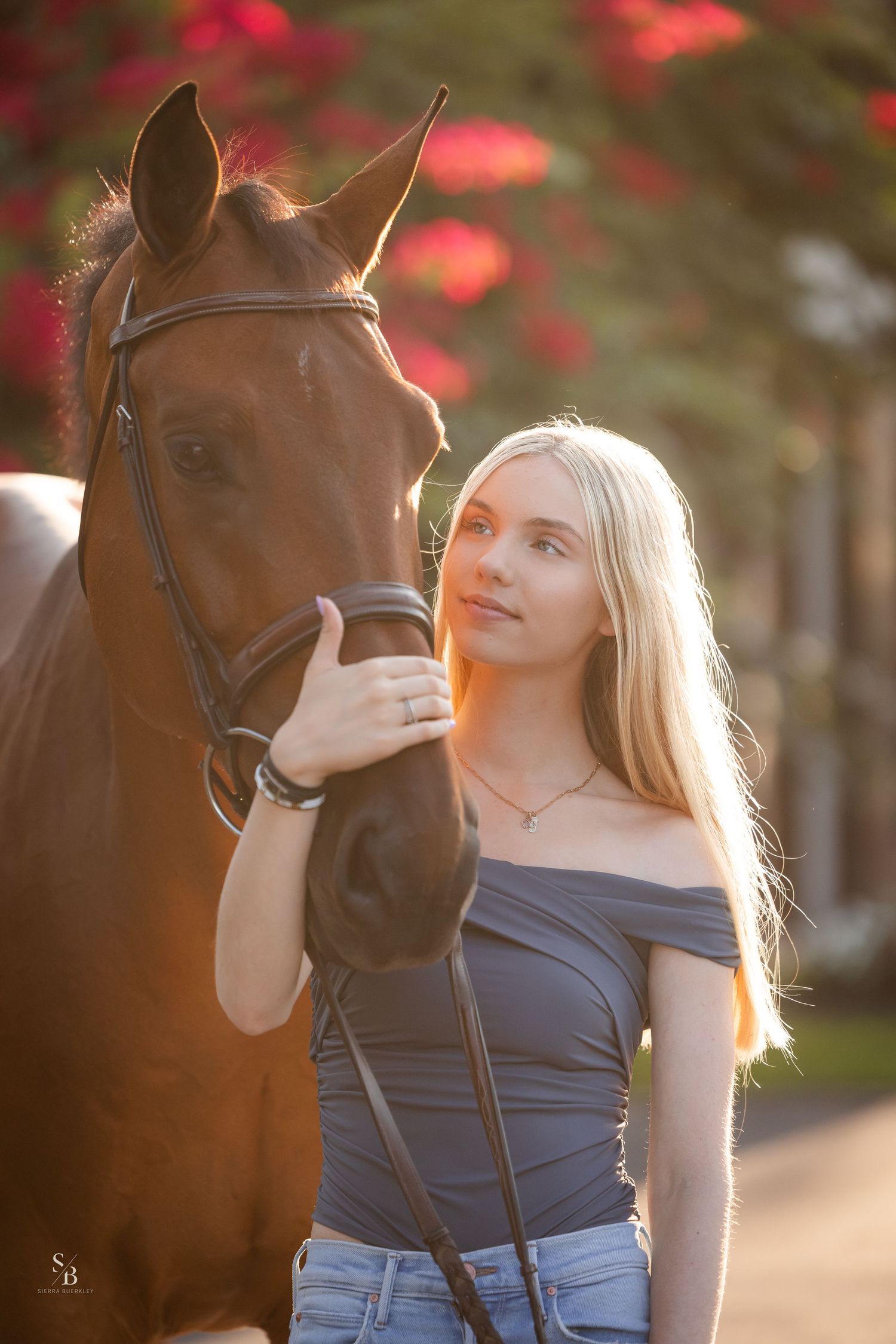 A beautiful bay horse and companion share a tender sunset moment outdoors during a photo session.