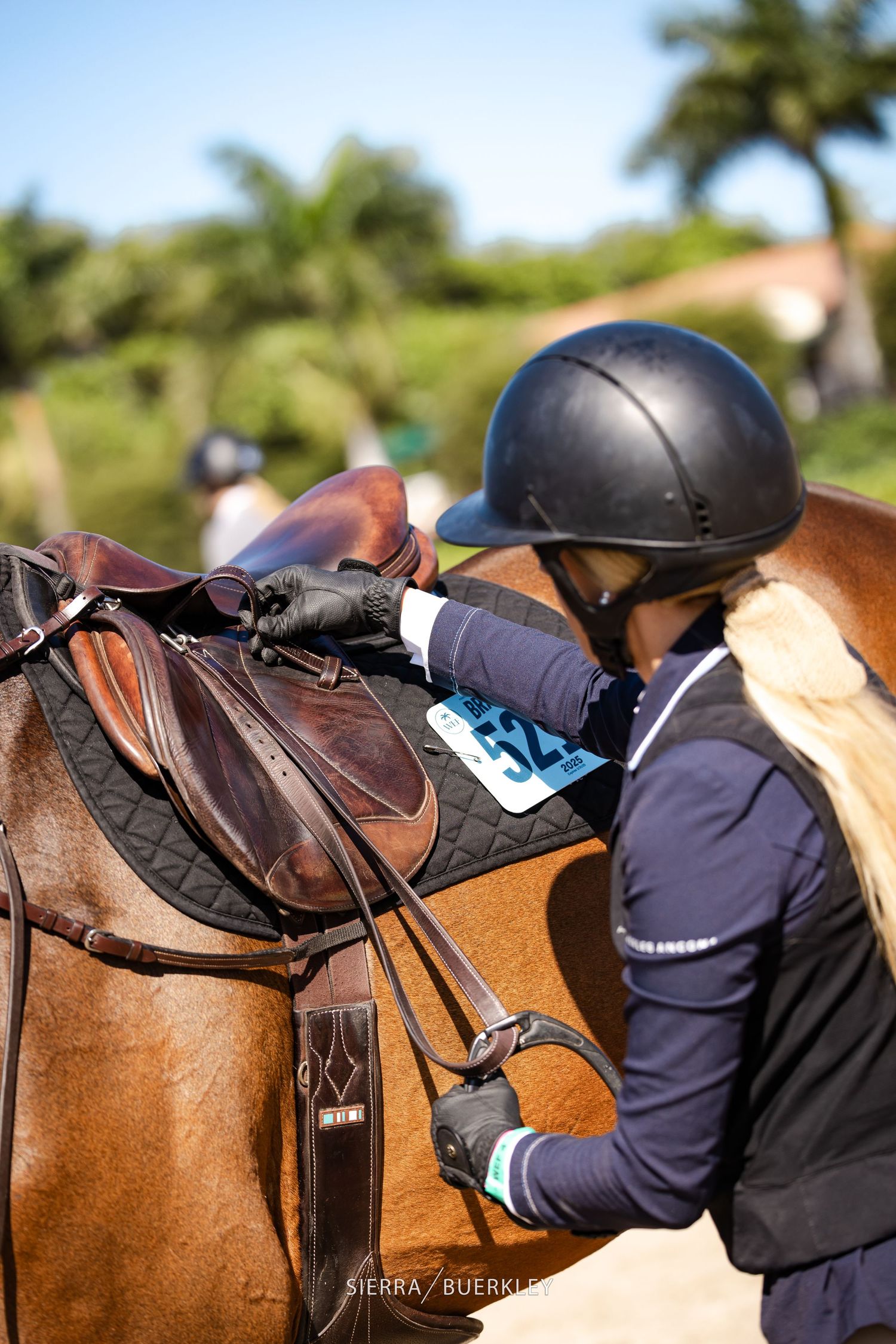 An equestrian in navy riding gear adjusts equipment on a bay horse with leather saddle in sunny outdoor setting.