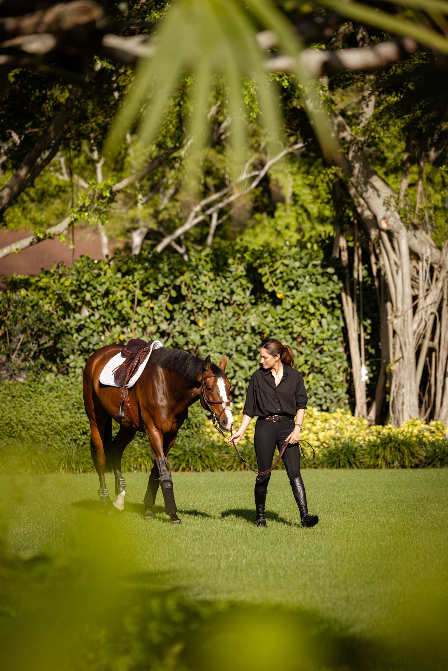Horse and handler walking together on grass field framed by lush greenery.