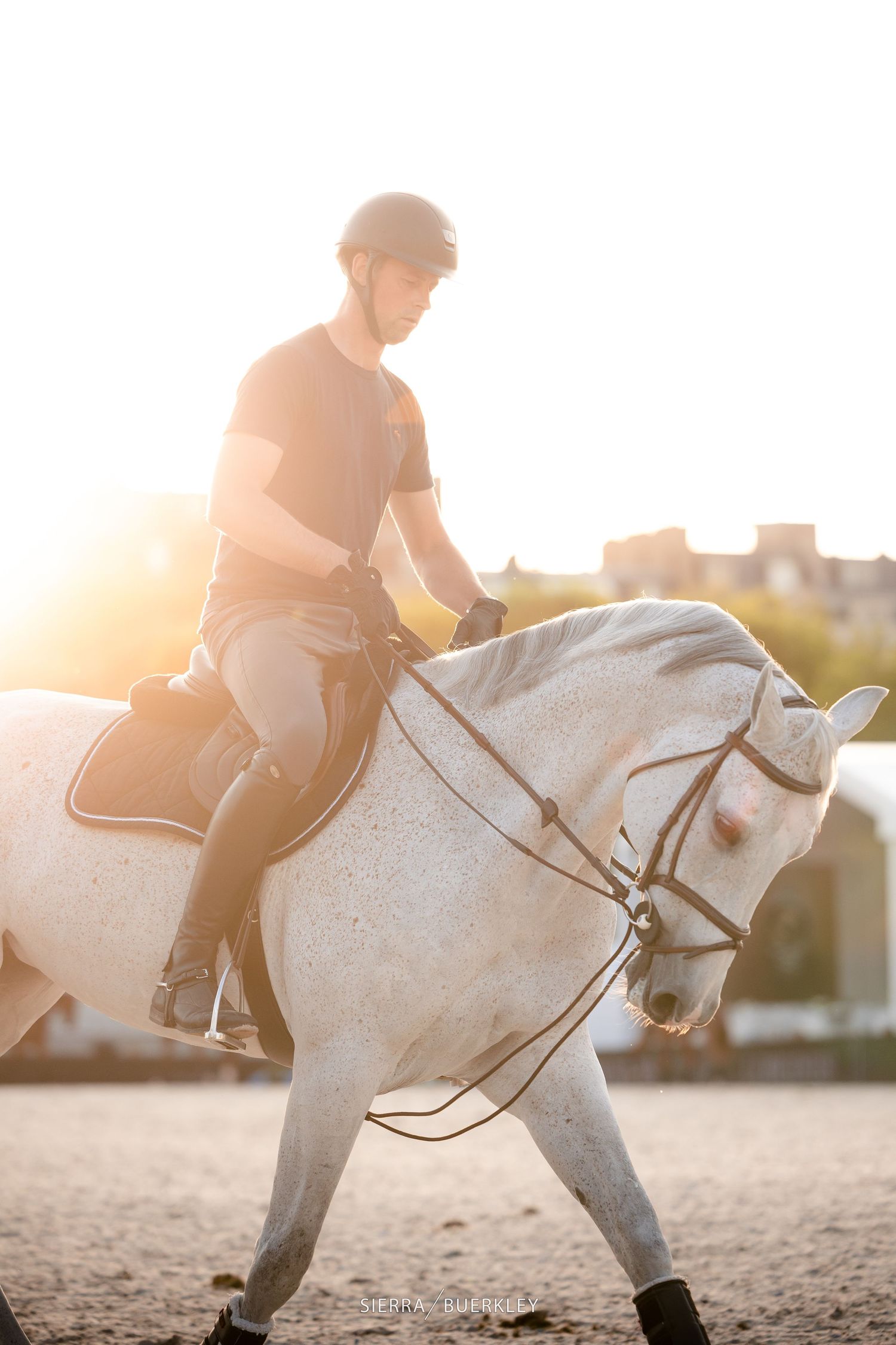Rider on elegant white horse training in outdoor arena during sunset with golden backlight.