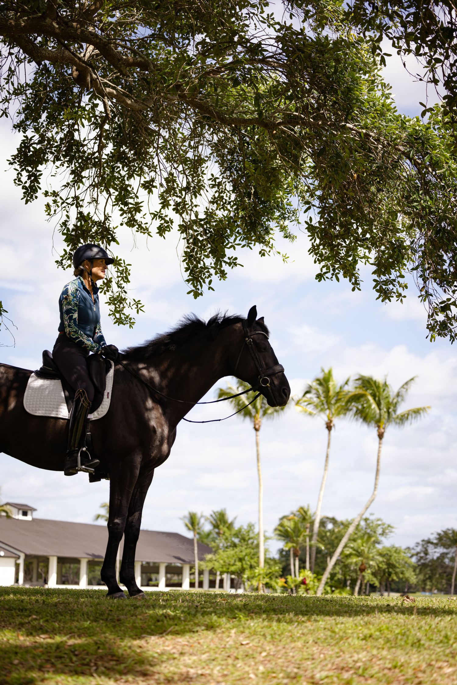 Equestrian rider mounted on a majestic black horse under overhanging tree branches with palm trees in the background.