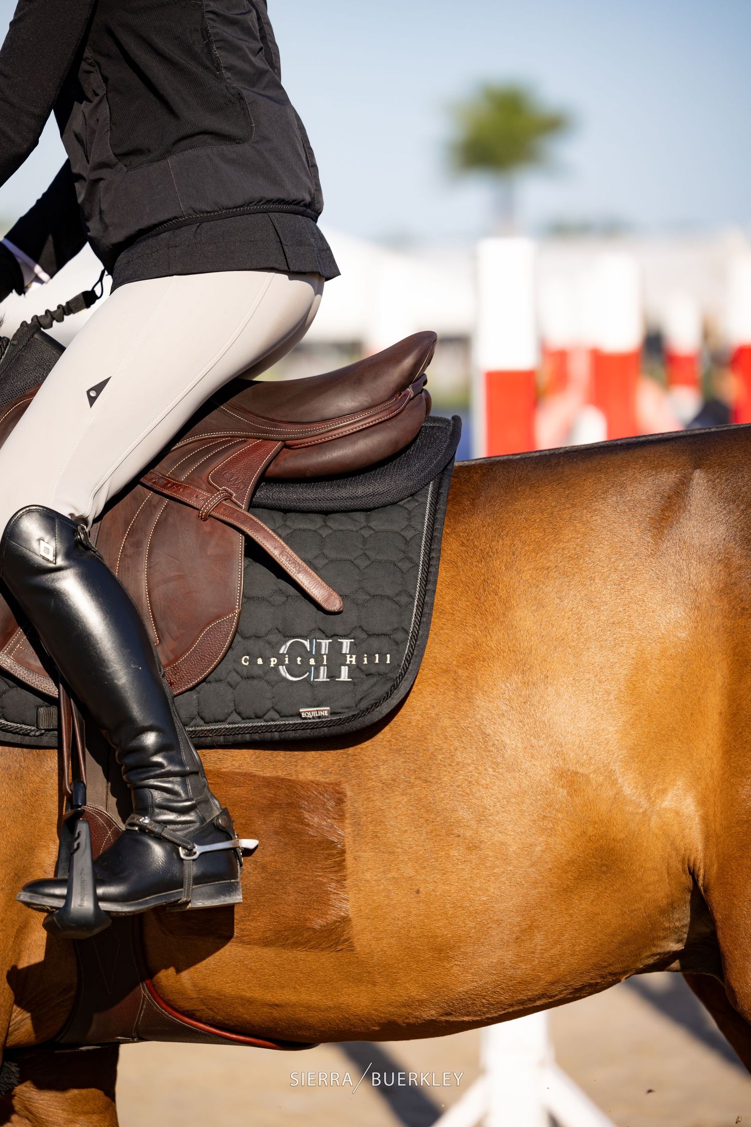 Close-up of an equestrian rider's boot, saddle and leg position on a bay horse during competition.