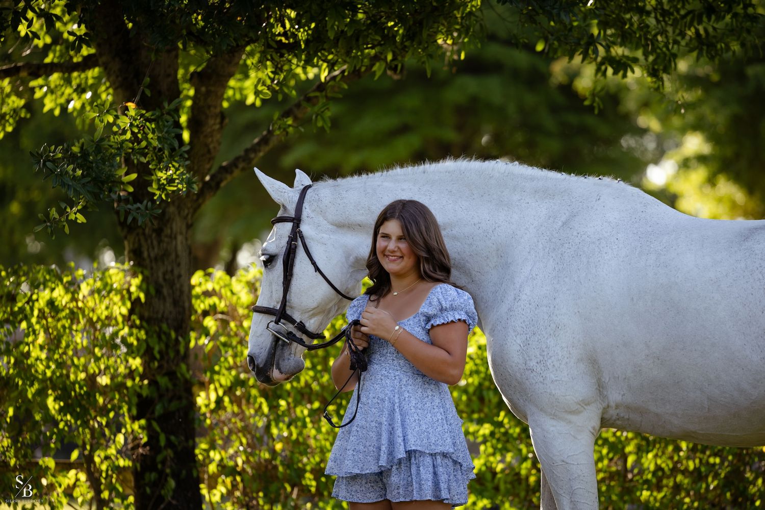 A graceful white horse stands beside their companion in dappled sunlight among green trees.