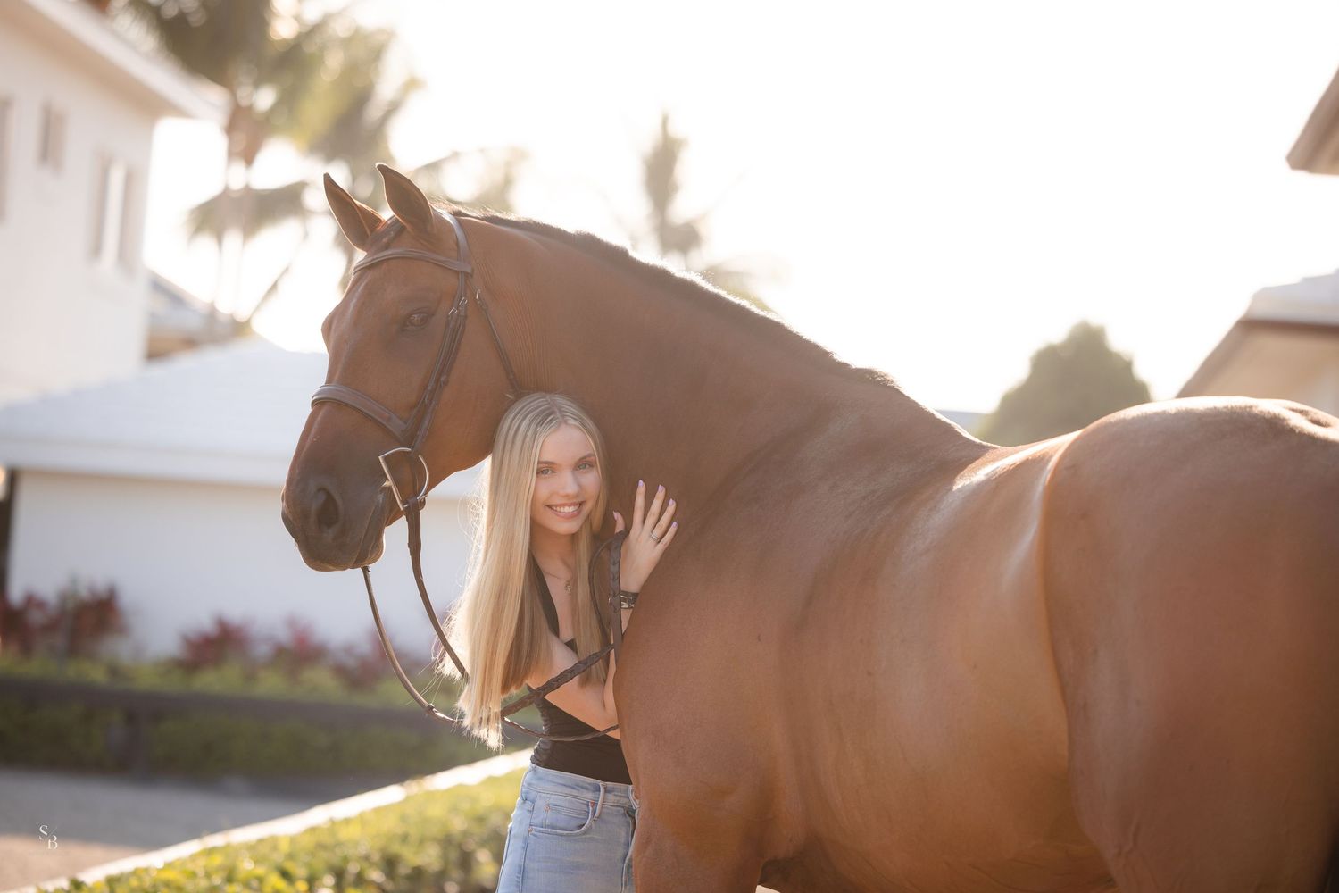 Horse rider practicing Western-style horseback riding in an outdoor arena at sunset.