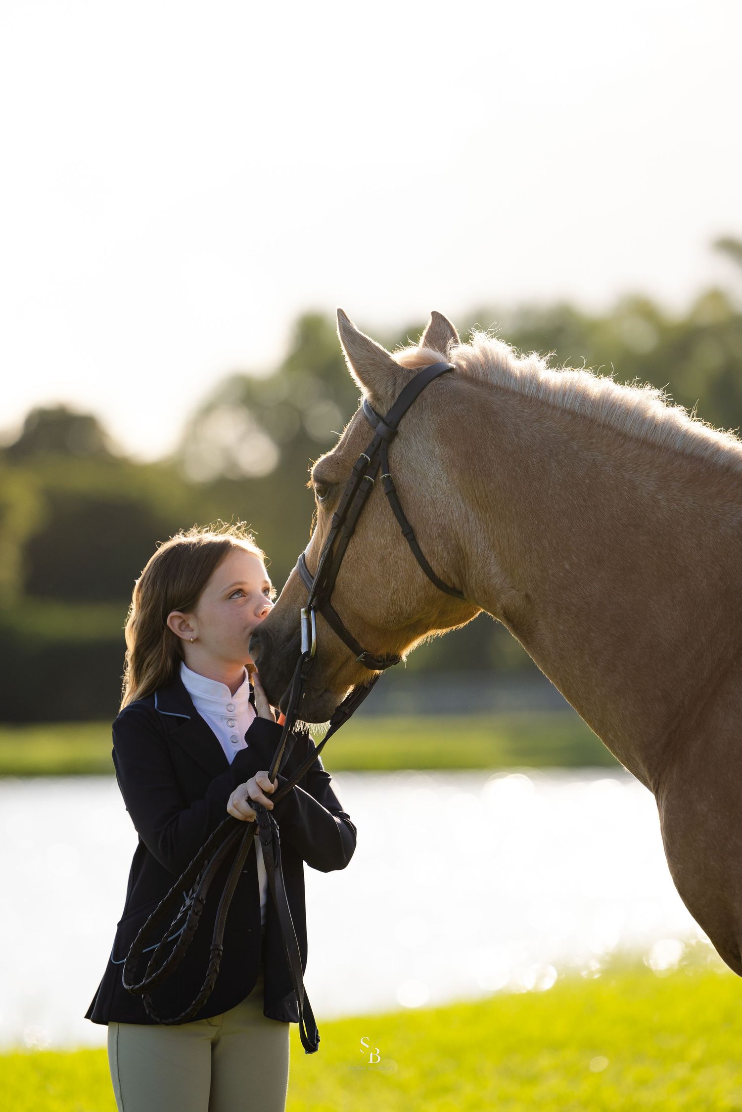 A gentle interaction between a chestnut horse and its handler against a waterfront backdrop.