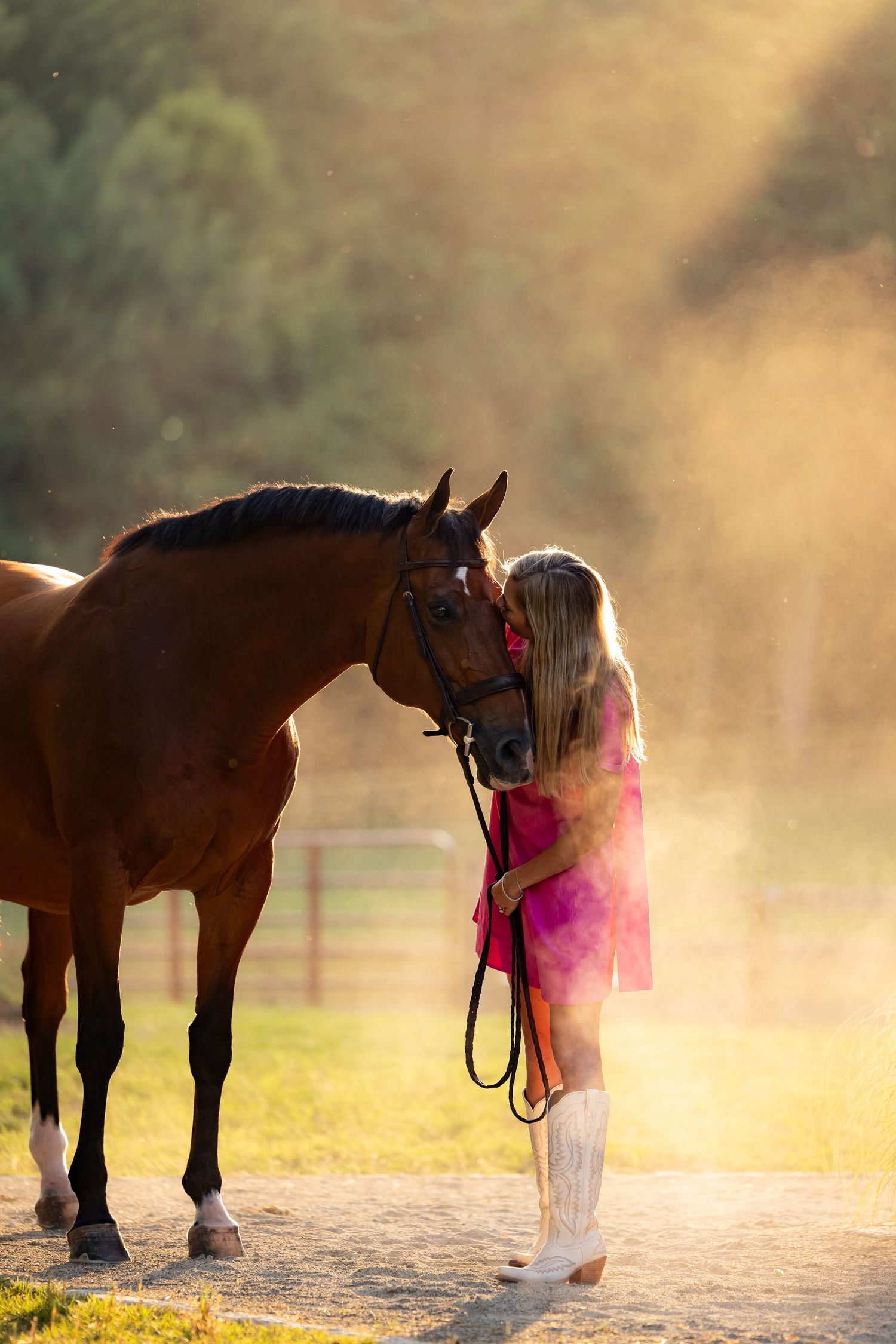 Golden sunset illuminates a tender moment between a horse and rider sharing an intimate connection on a misty afternoon.