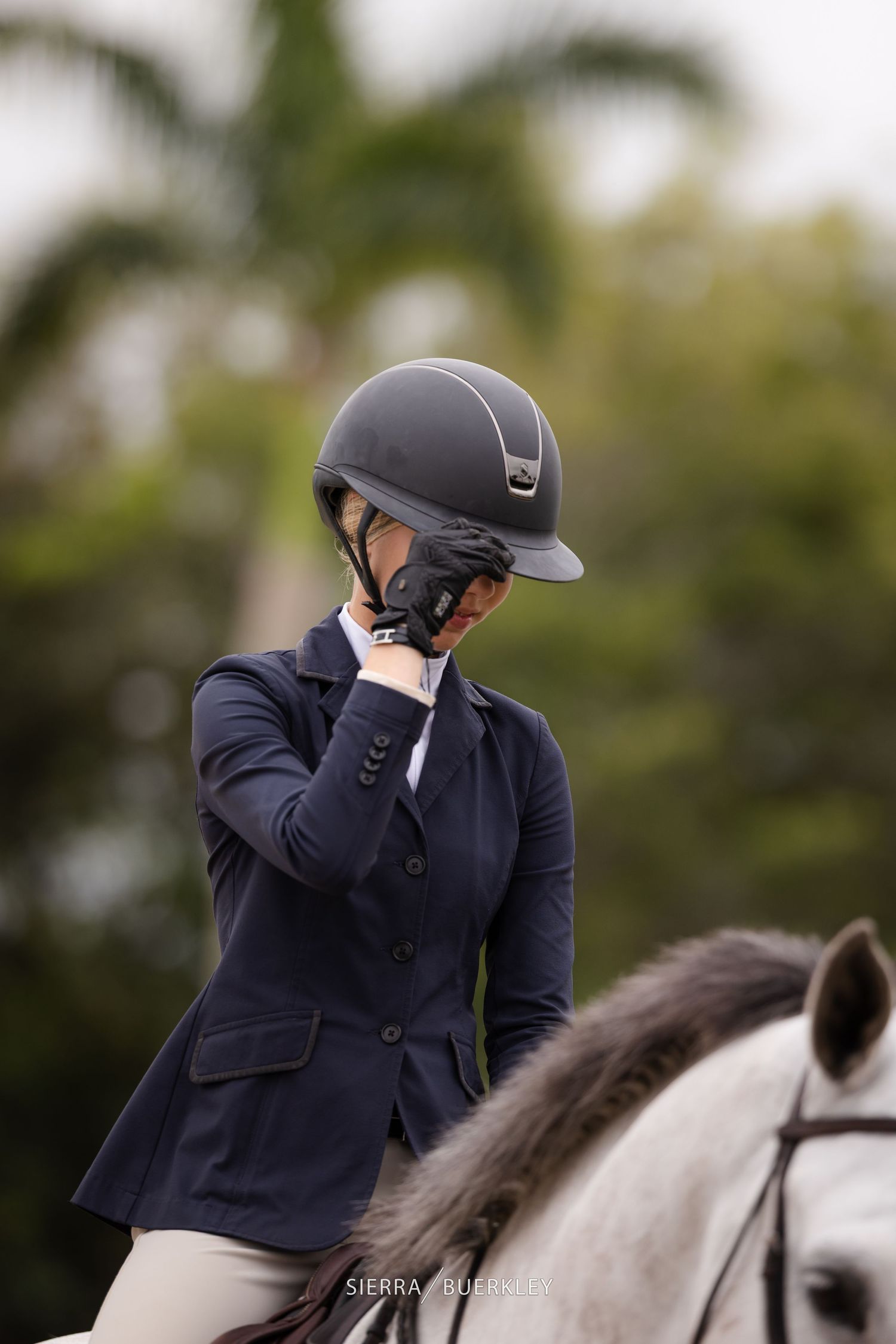 An equestrian rider in navy show jacket and safety helmet adjusts equipment while mounted on a white horse.