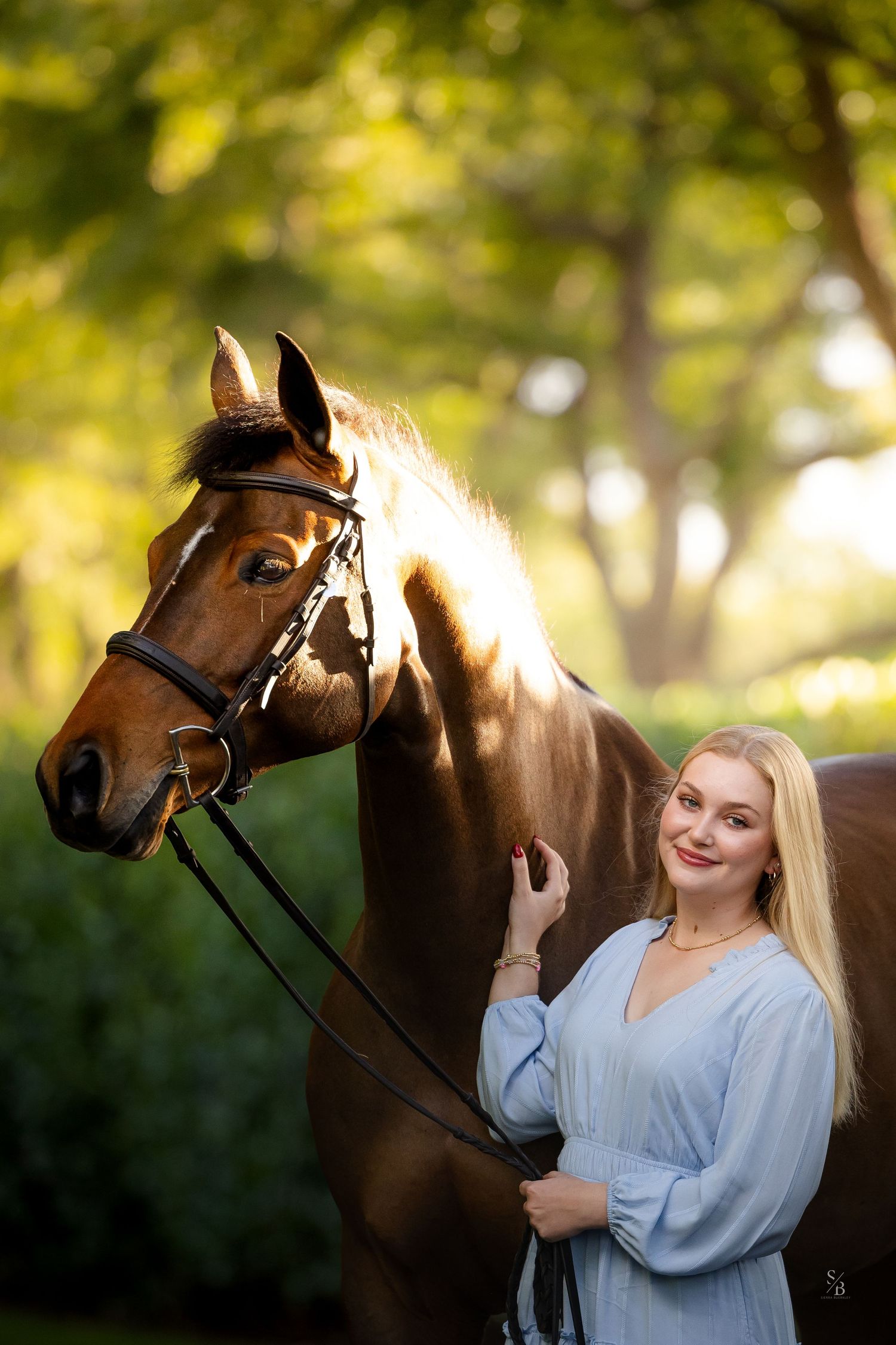 A handsome bay horse with bridle poses against blurred green foliage in warm evening light.
