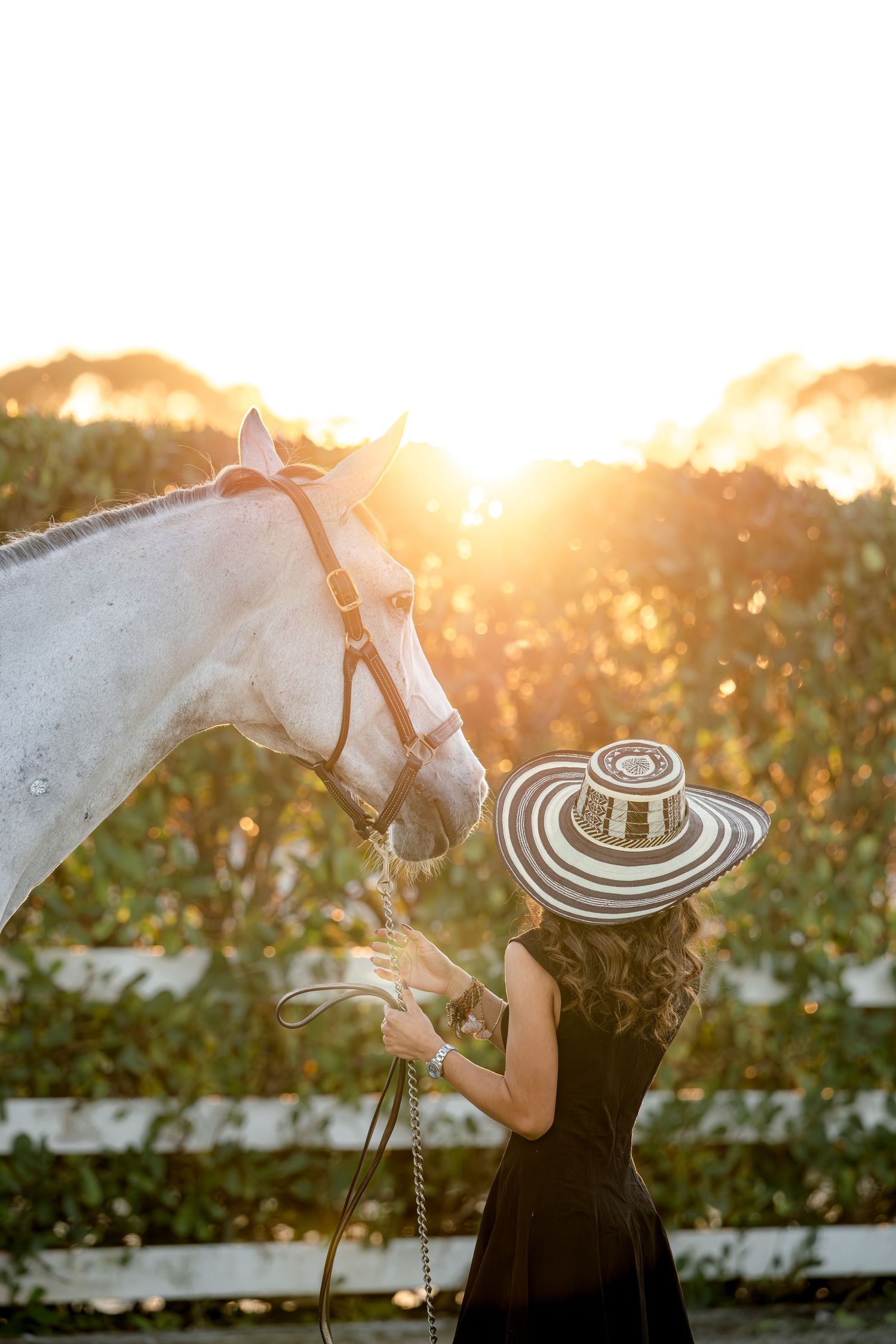 A person in a black dress and wide-brimmed hat pets a white horse at sunset by a white fence.