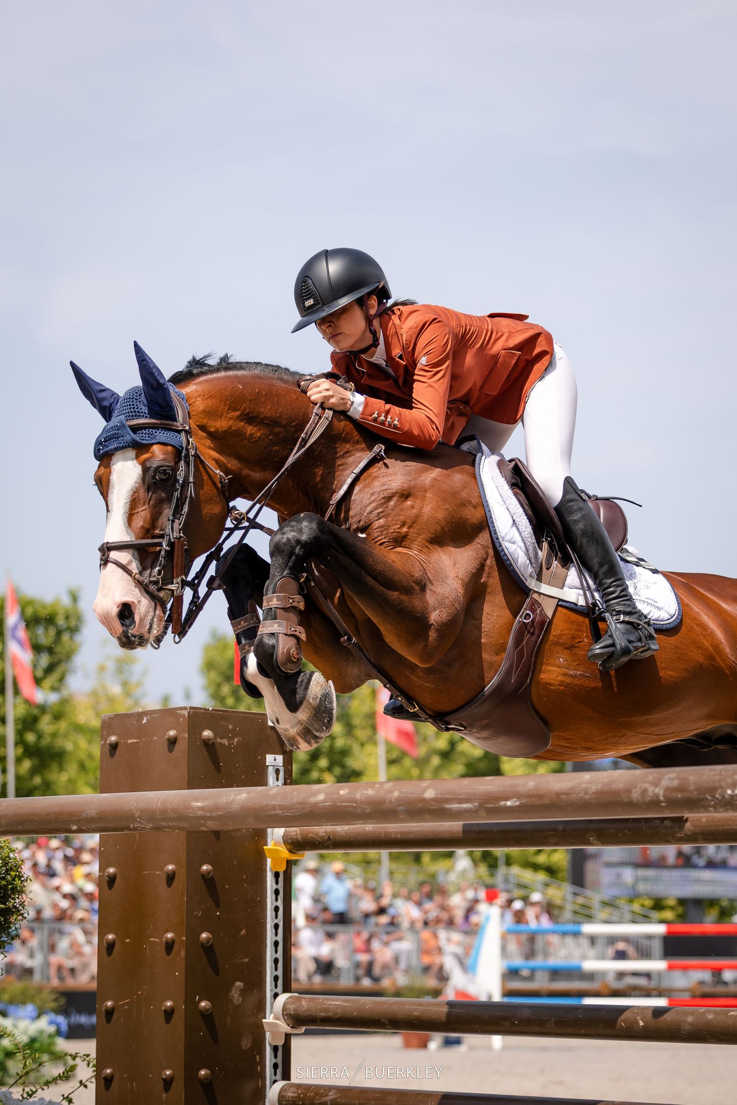 Horse and rider executing a high jump over wooden obstacle at equestrian competition in multiple dynamic action shots.