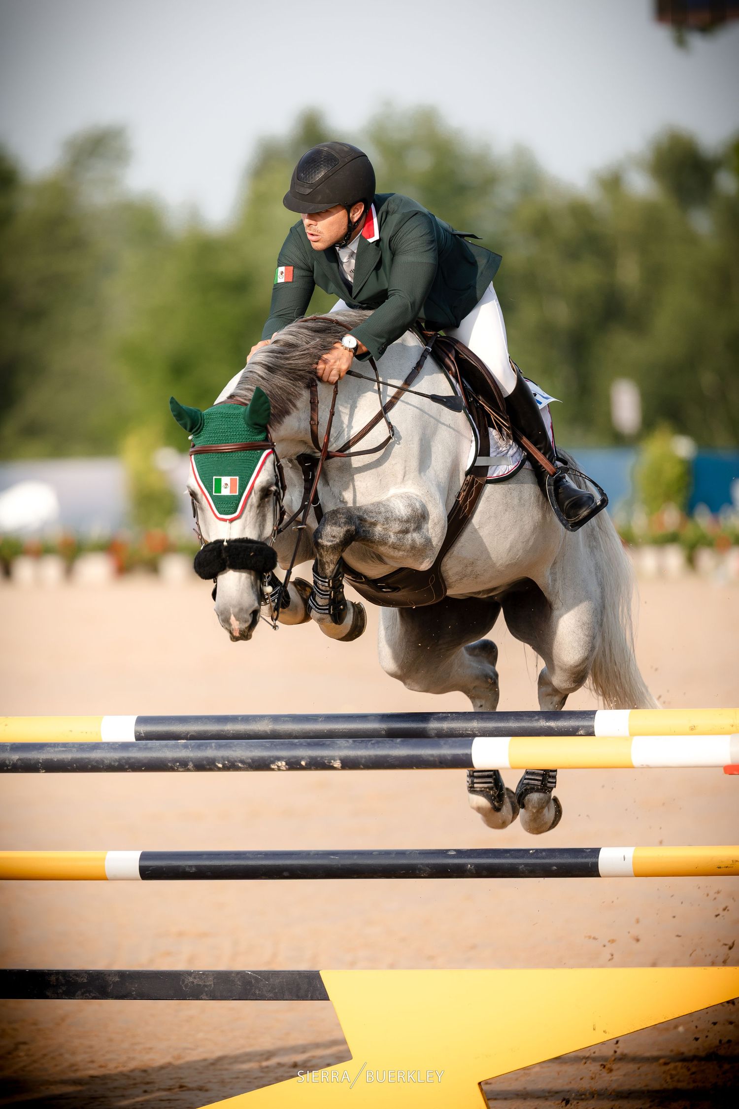 Horse and rider gracefully leap over a show jumping obstacle during an equestrian competition.