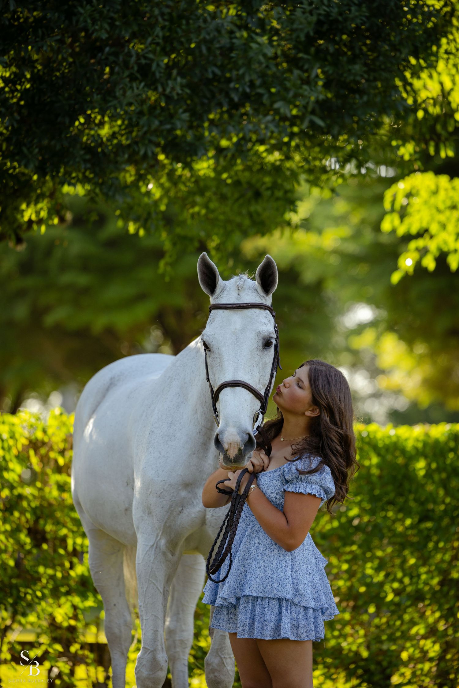 A beautiful white horse and companion share a sweet moment in a sun-dappled garden setting.