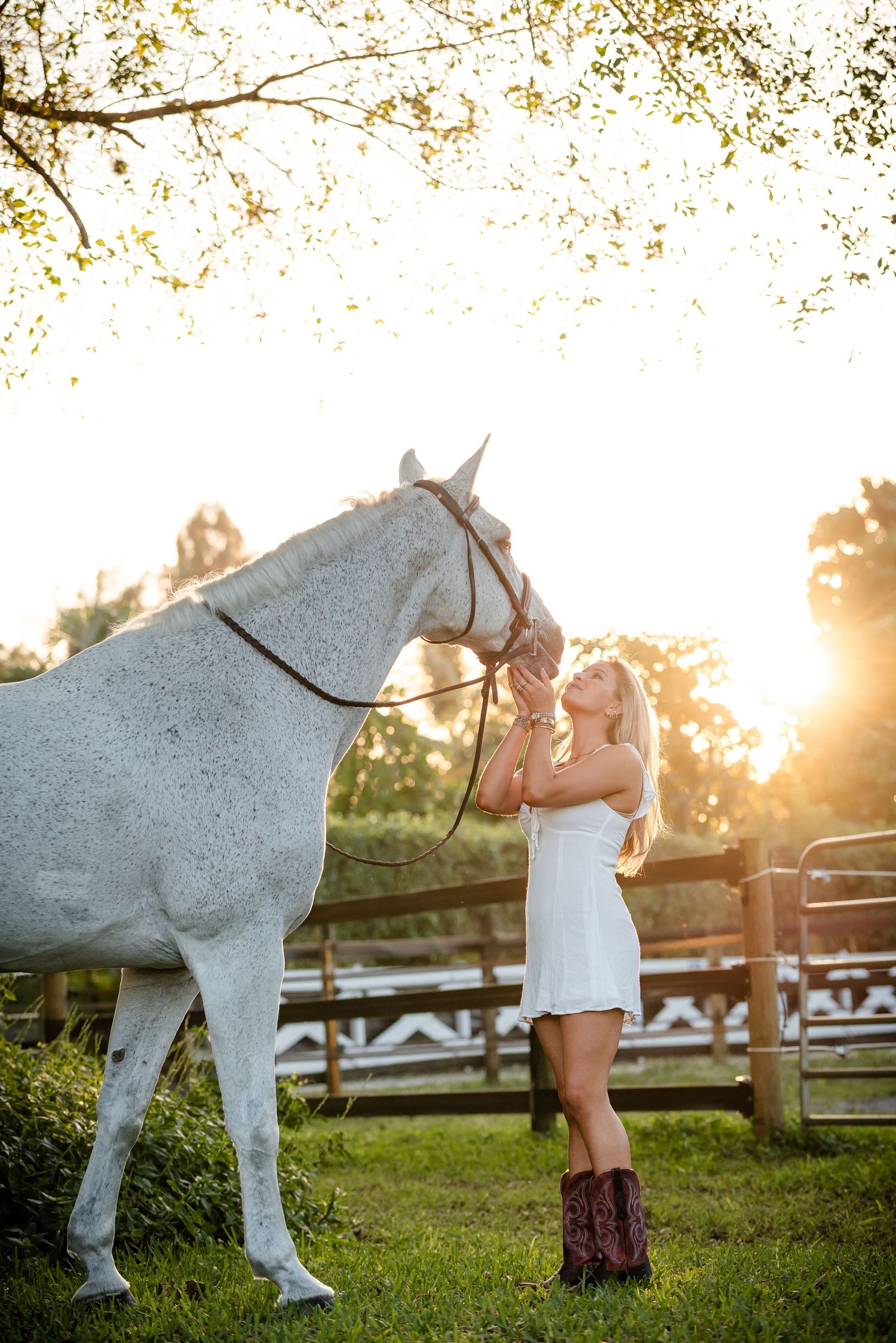 A white horse and someone in a white dress and cowboy boots share a tender moment at sunset in a fenced pasture.