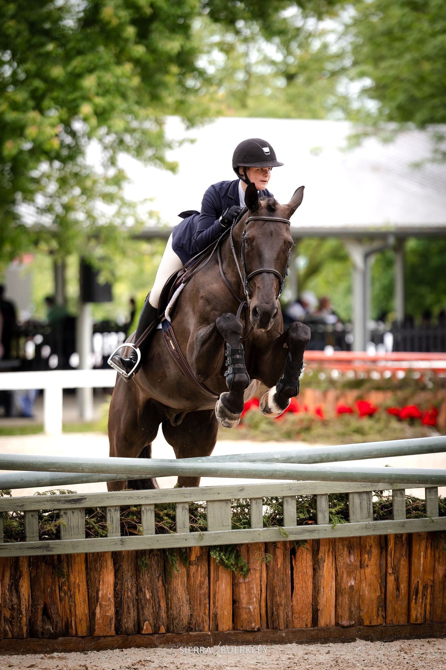 Dark bay horse and rider clearing a white show jumping fence in an outdoor equestrian arena with trees in background.