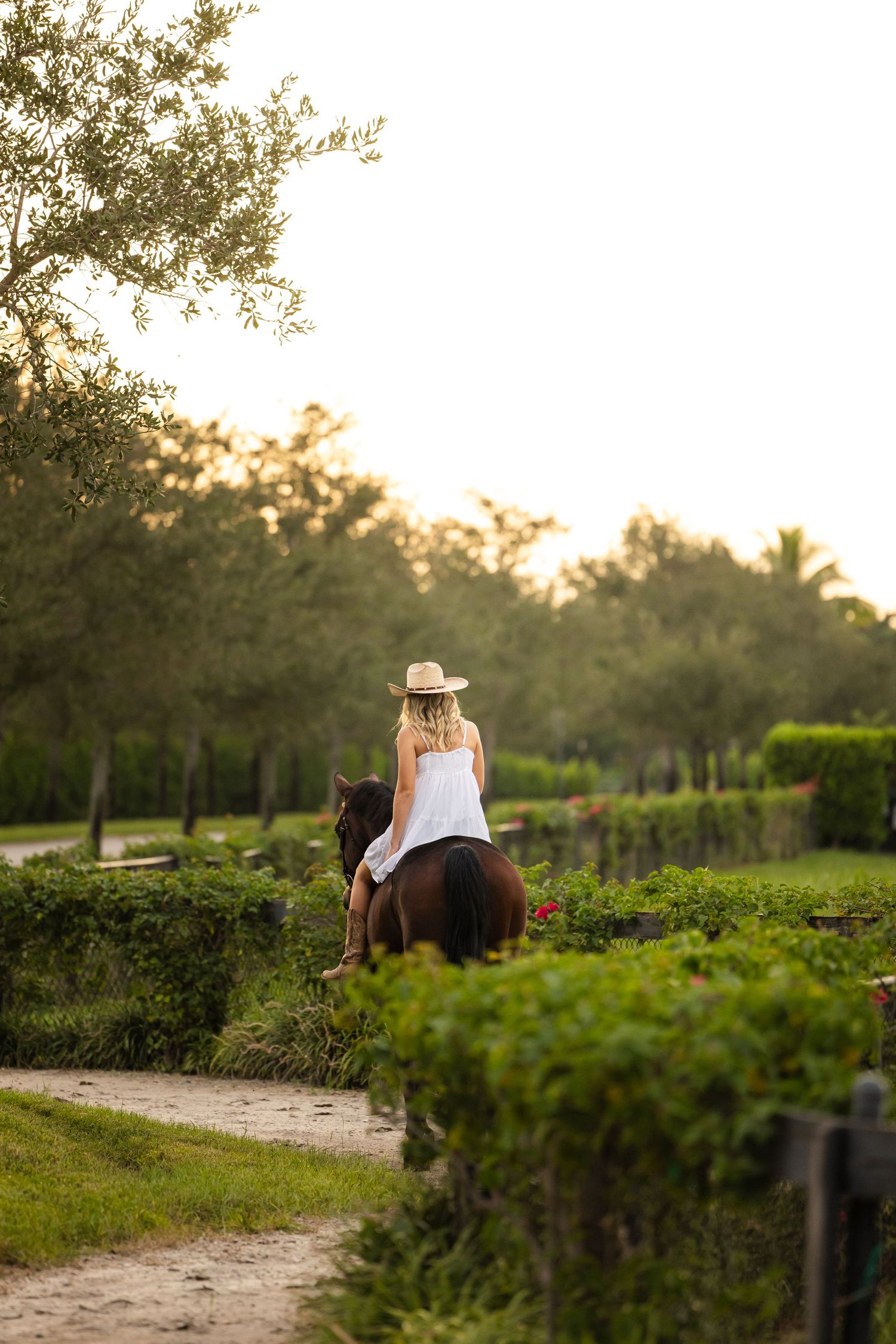A horseback rider in white clothing rides along a scenic tree-lined path at sunset.