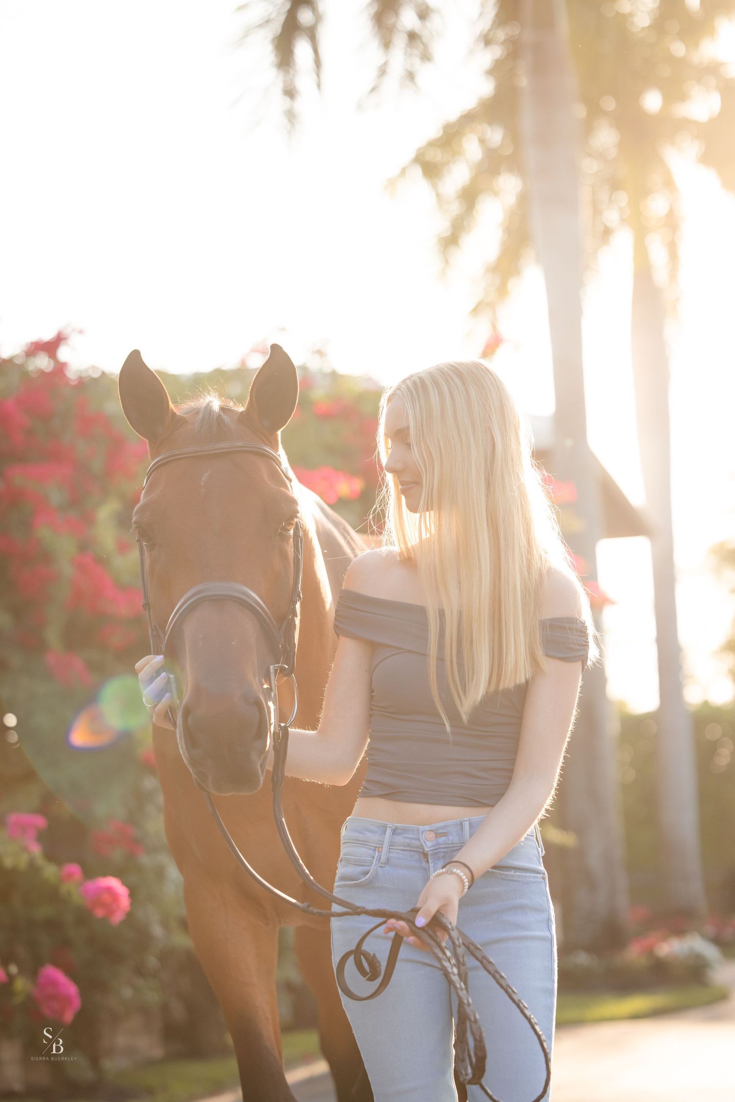 A brown horse and companion stand together at sunset with palm trees and pink flowers in the background.