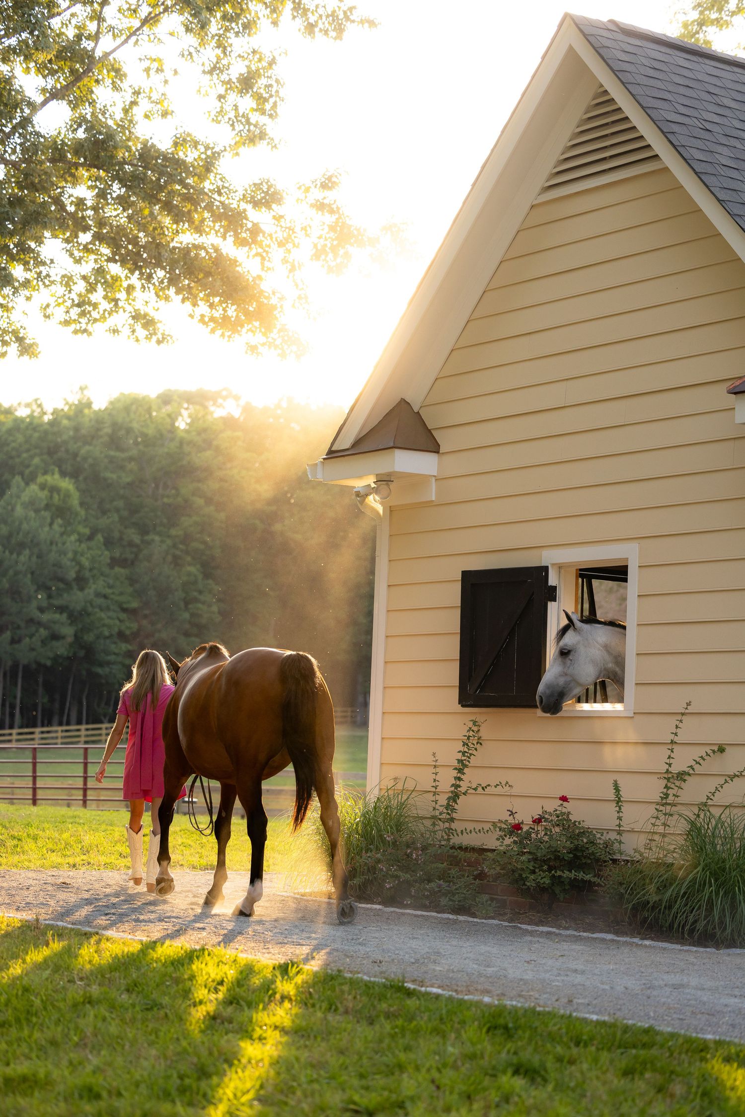 horse and rider portrait