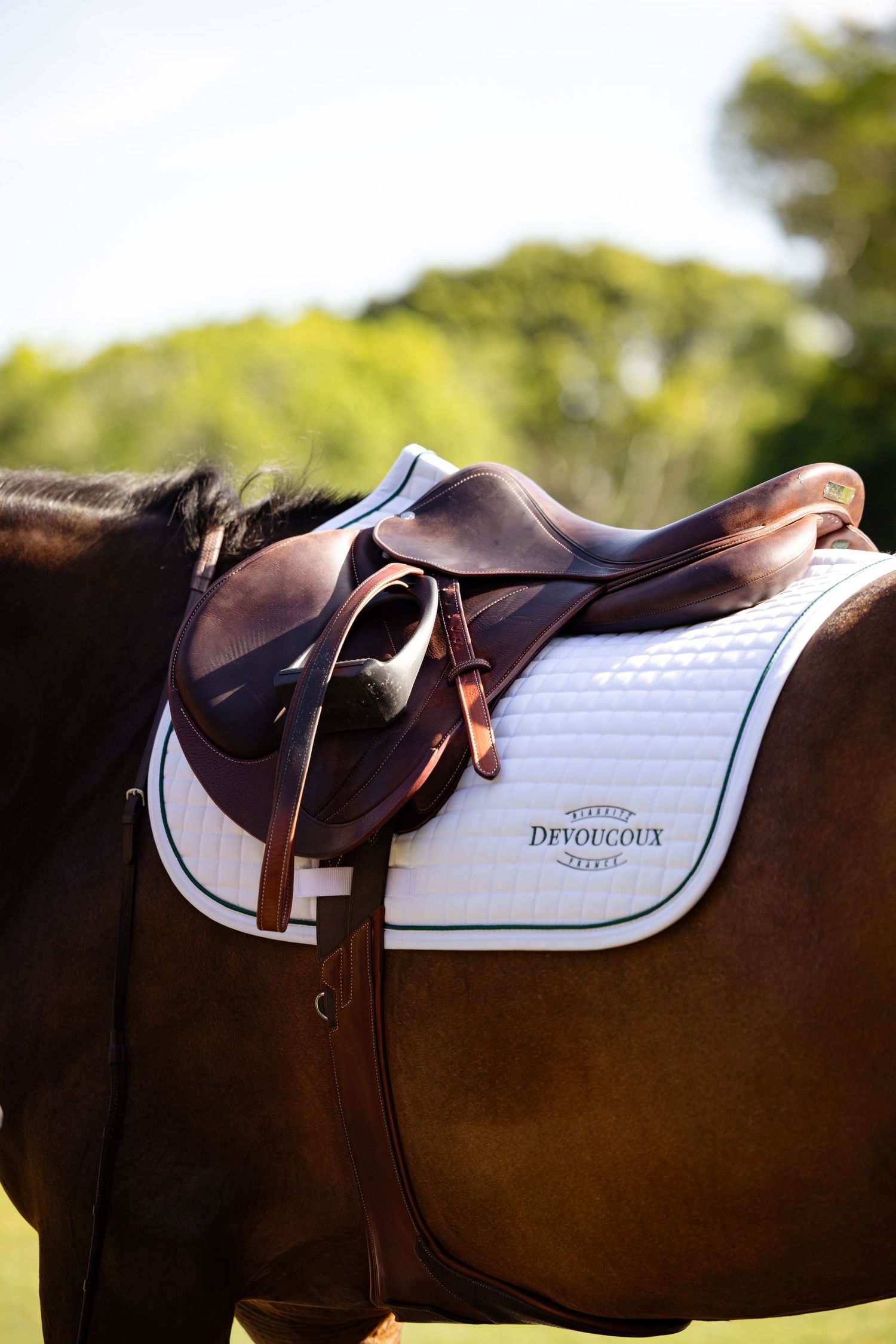 Brown leather English saddle with white pad mounted on dark horse.