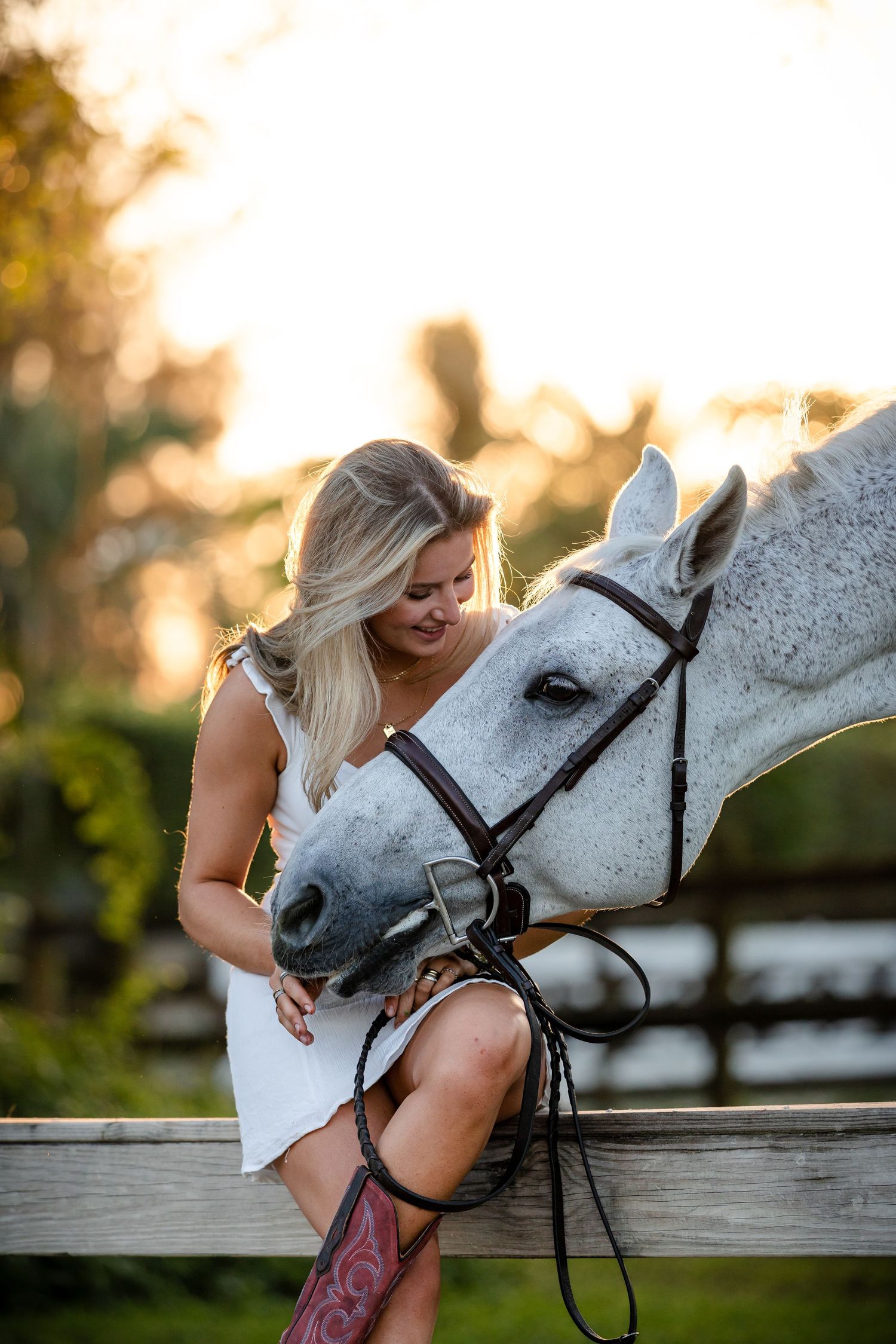 Beautiful white horse and companion share a tender moment at sunset by a wooden fence.