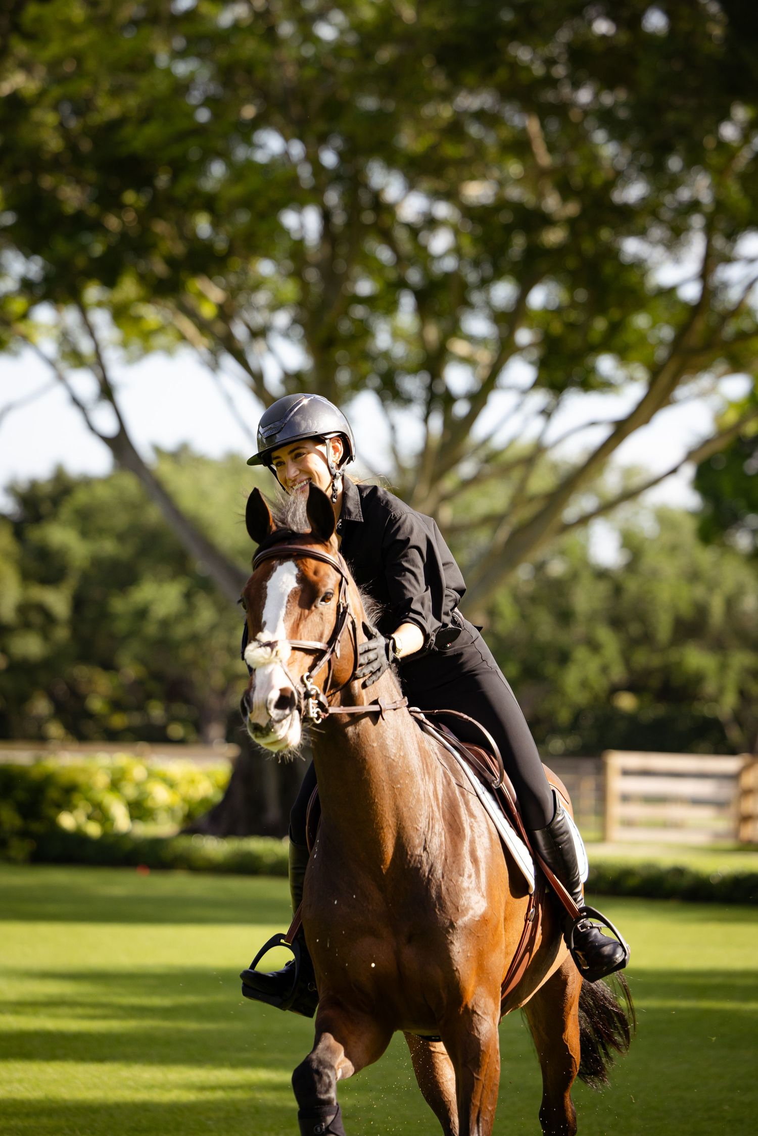 horse and rider, Jessica Springsteen