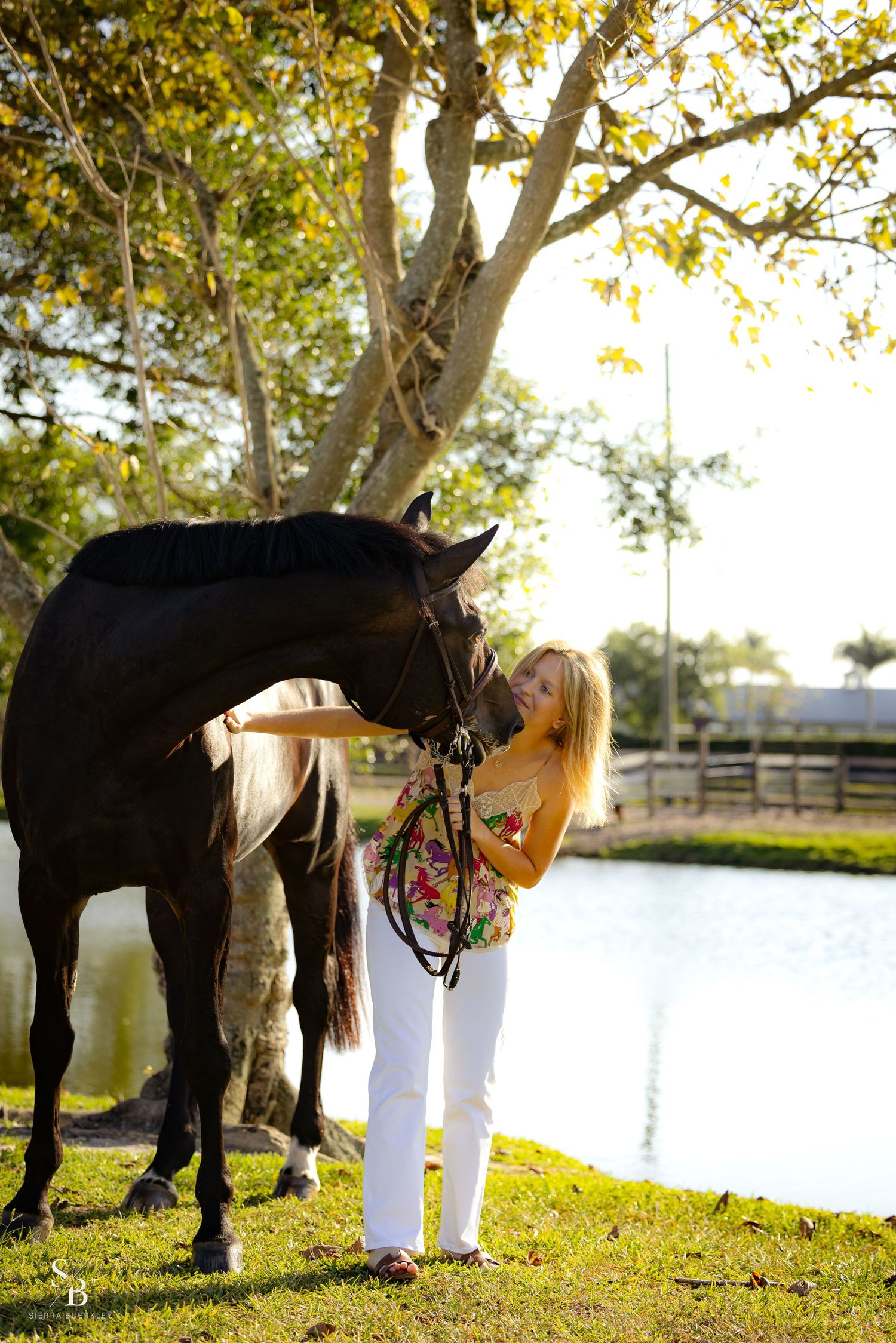 A black horse and companion stand together by a pond during golden hour.