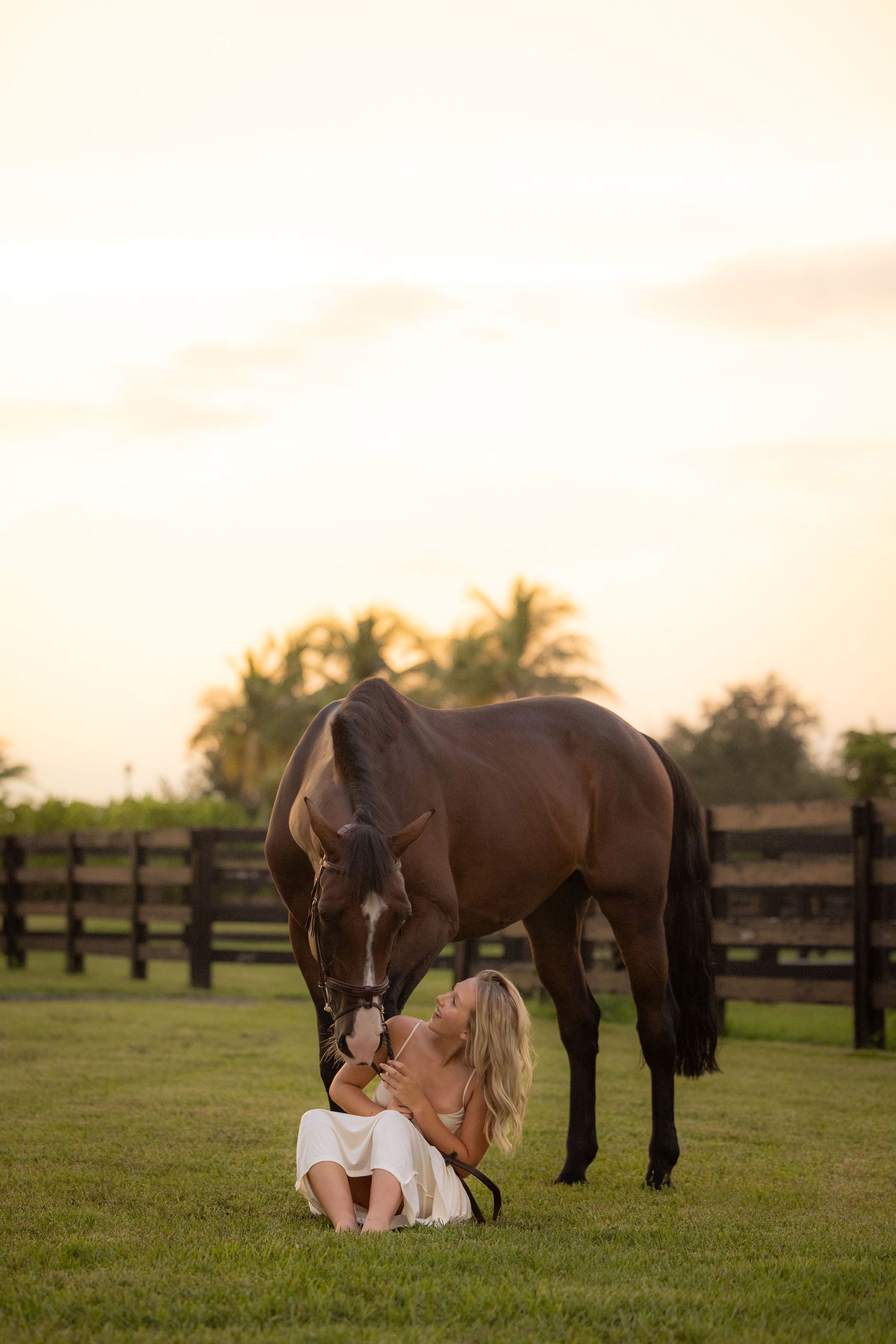 A brown horse bends down to greet companion in grassy field at sunset.