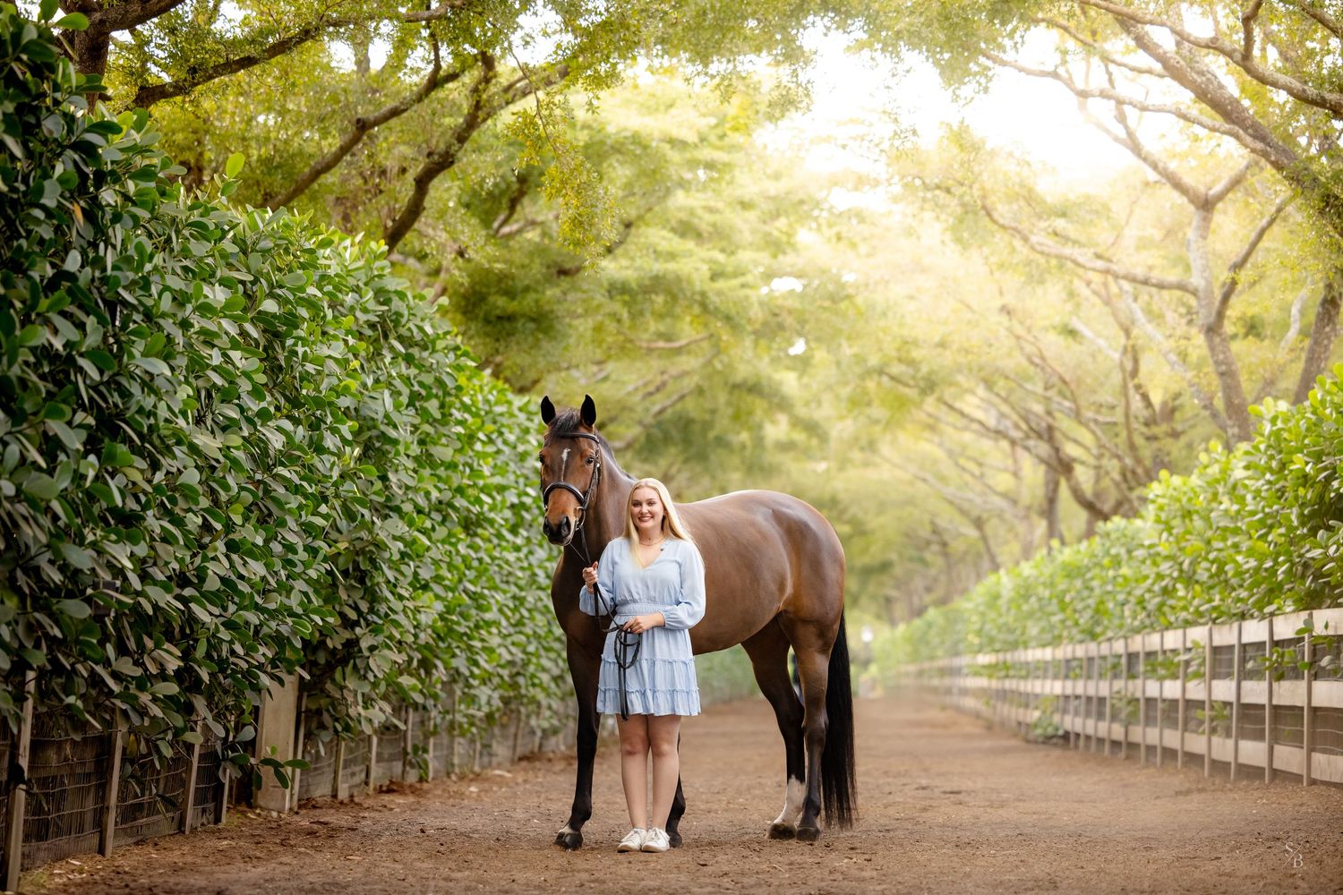 A majestic brown horse and companion stand on a tree-lined path with wooden fencing.