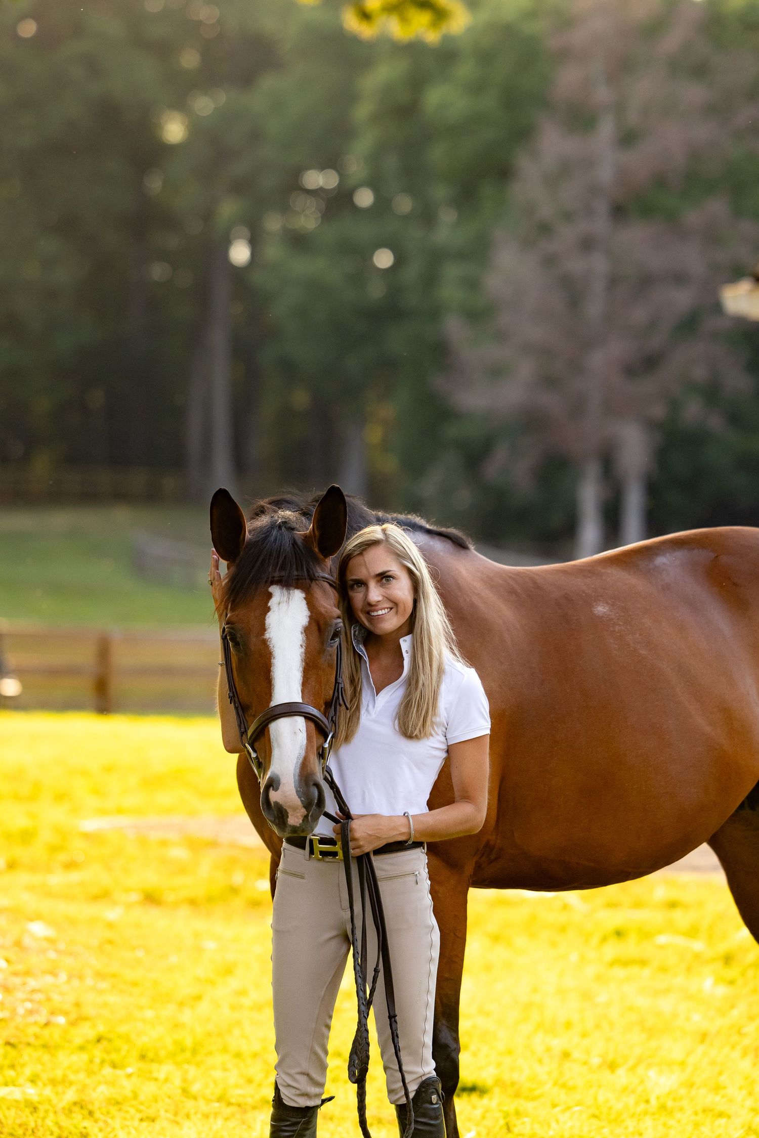 Bay horse with white marking stands in sunlit field with autumn colors.