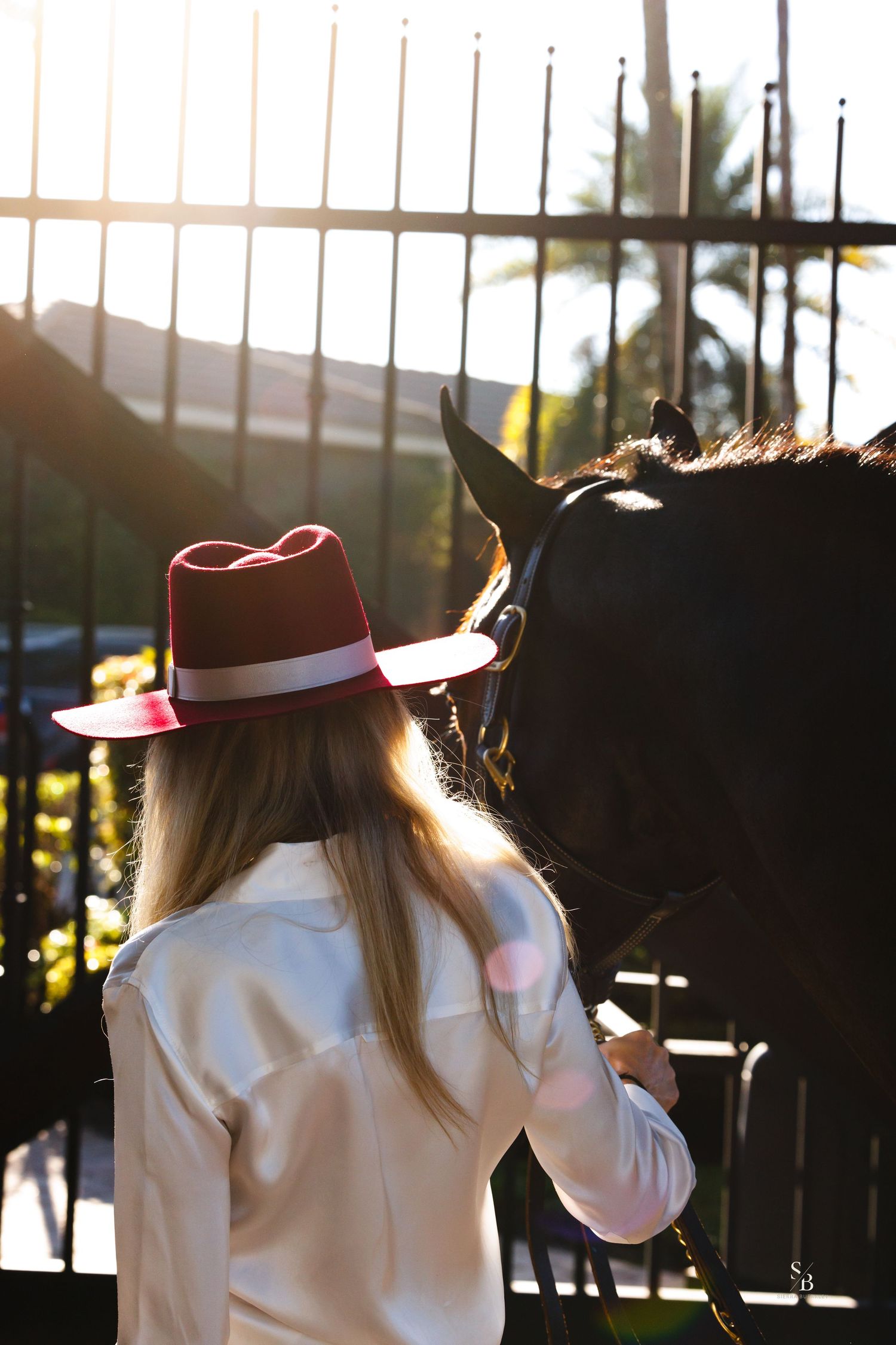 Backlit silhouette of person in red hat with horse during golden hour.