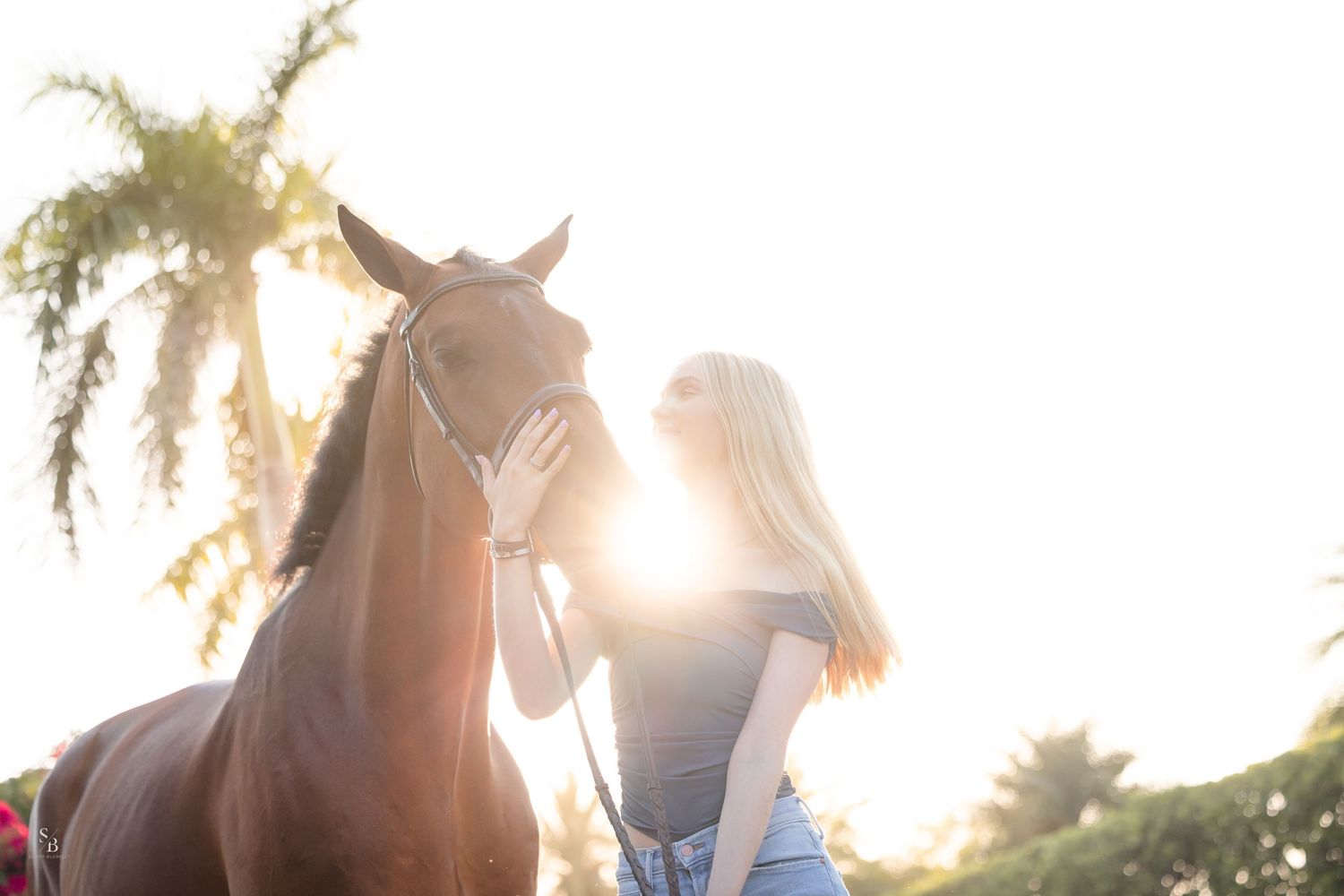 A brown horse and companion stand together in a dreamy backlit setting with palm trees and golden sunlight.