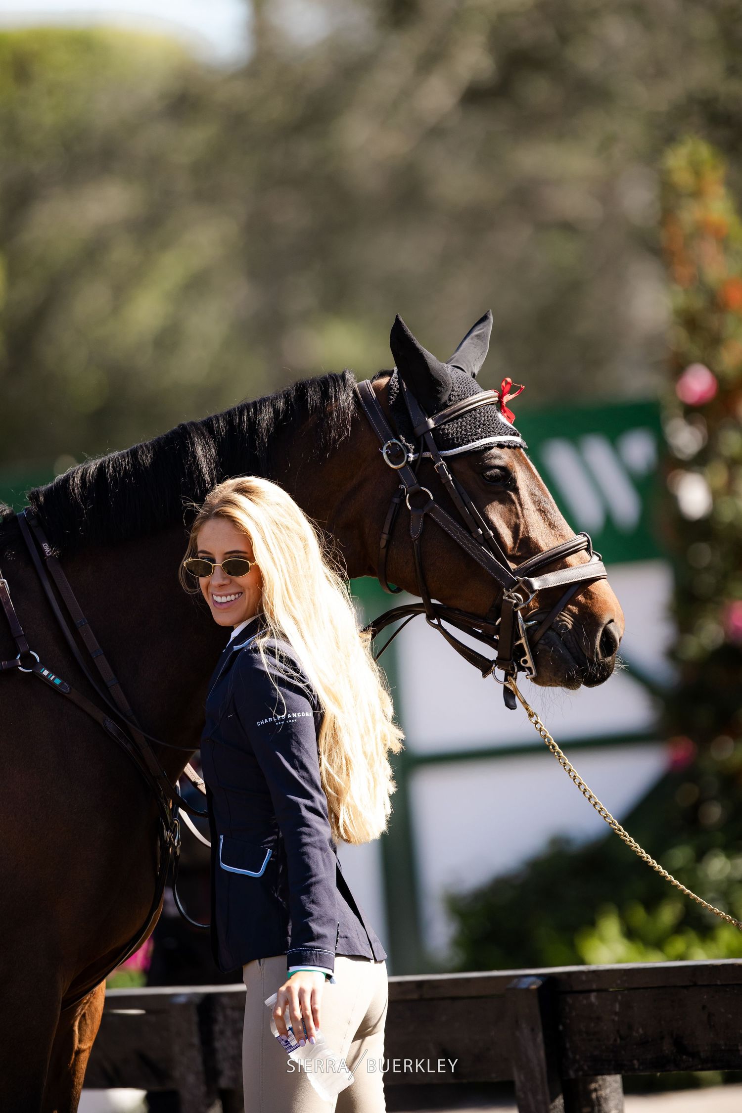 A majestic black horse and rider in navy jacket stand together at an equestrian event on a sunny day.