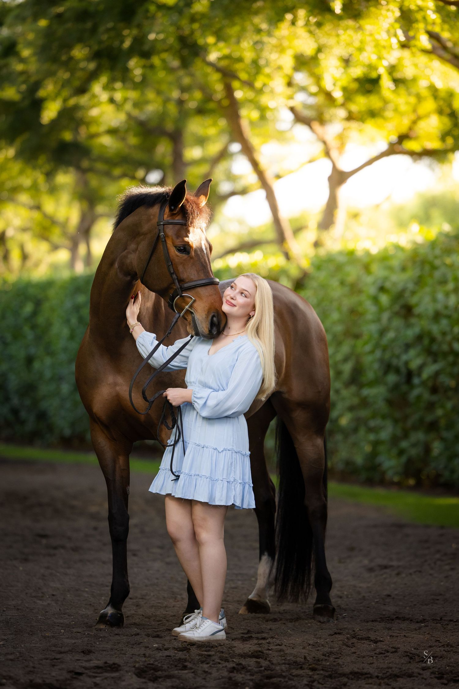A beautiful bay horse and companion share a tender moment on a tree-lined path during golden hour.