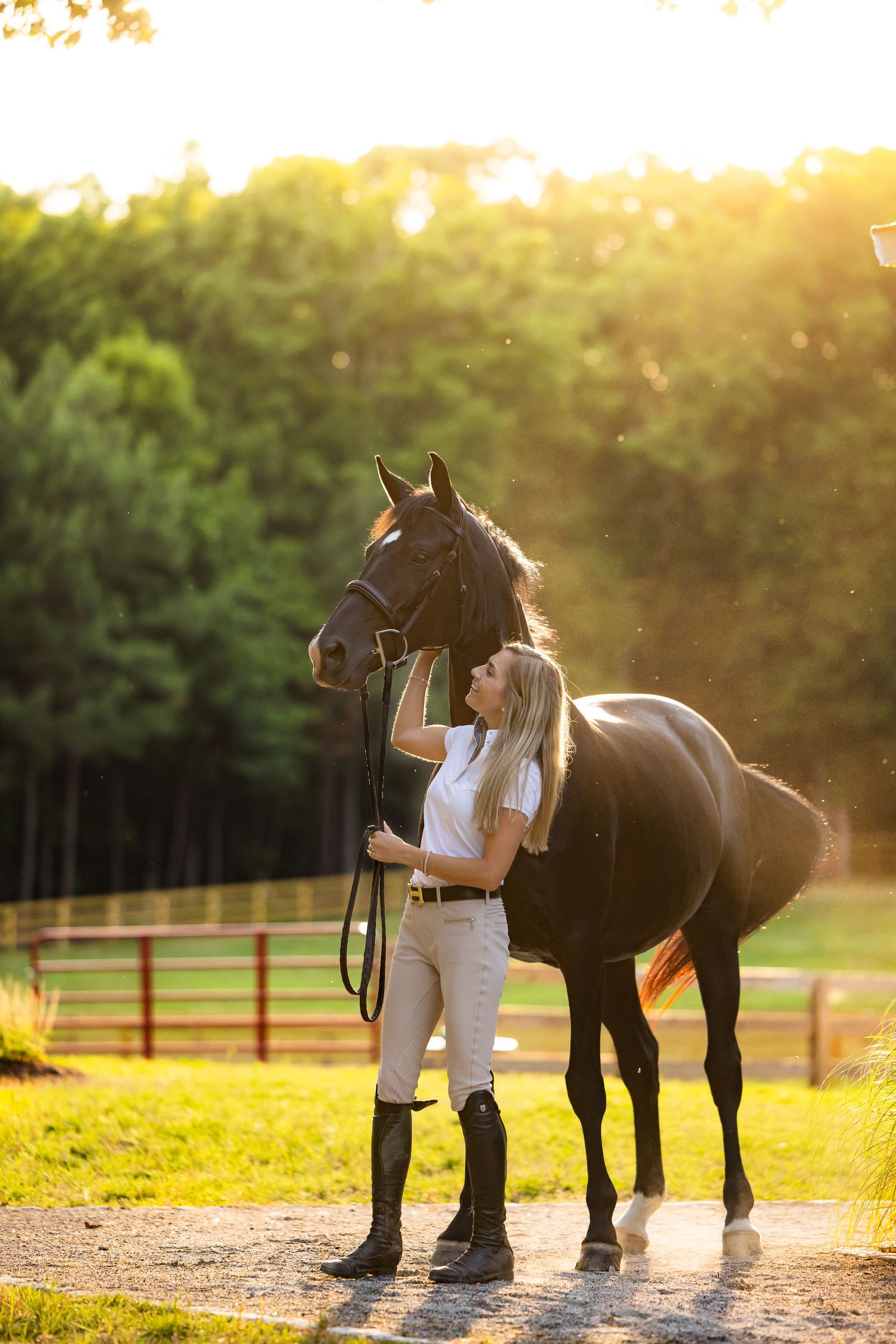 Horse and handler standing in golden afternoon sunlight on wet ground.