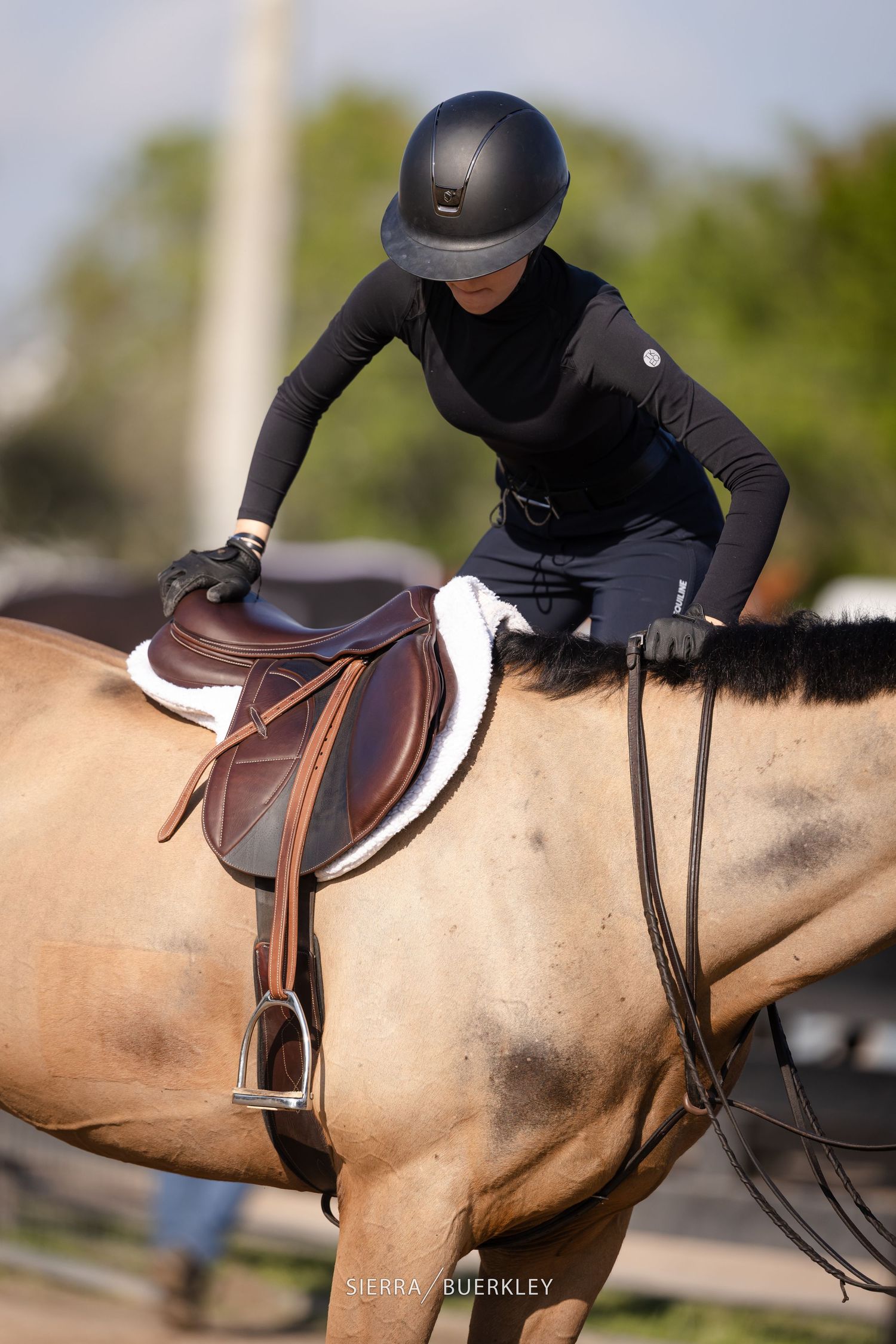 A rider in black attire and helmet mounting a beige horse with brown leather saddle during an equestrian training session.