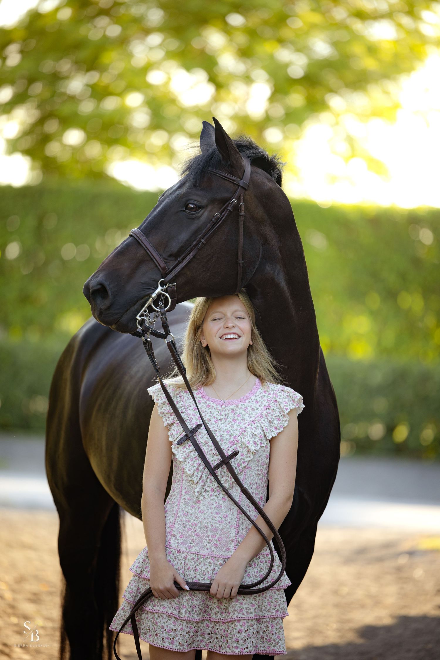 A beautiful black horse and young rider pose together on a sunlit path.